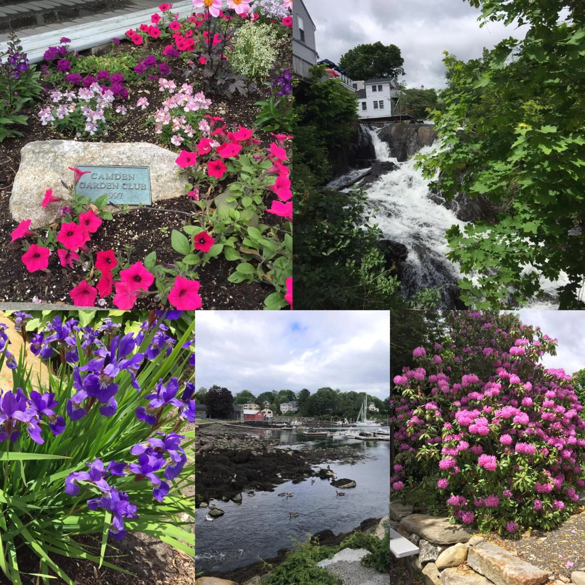 Garden in Camden Riverhouse Hotel and Inn