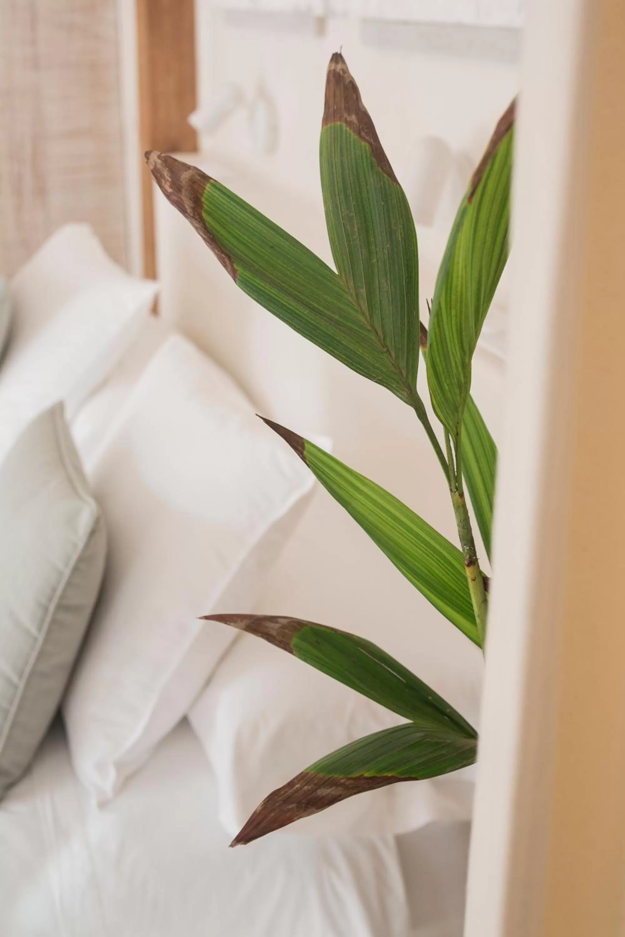 Decorative detail in Nautilus Lanzarote