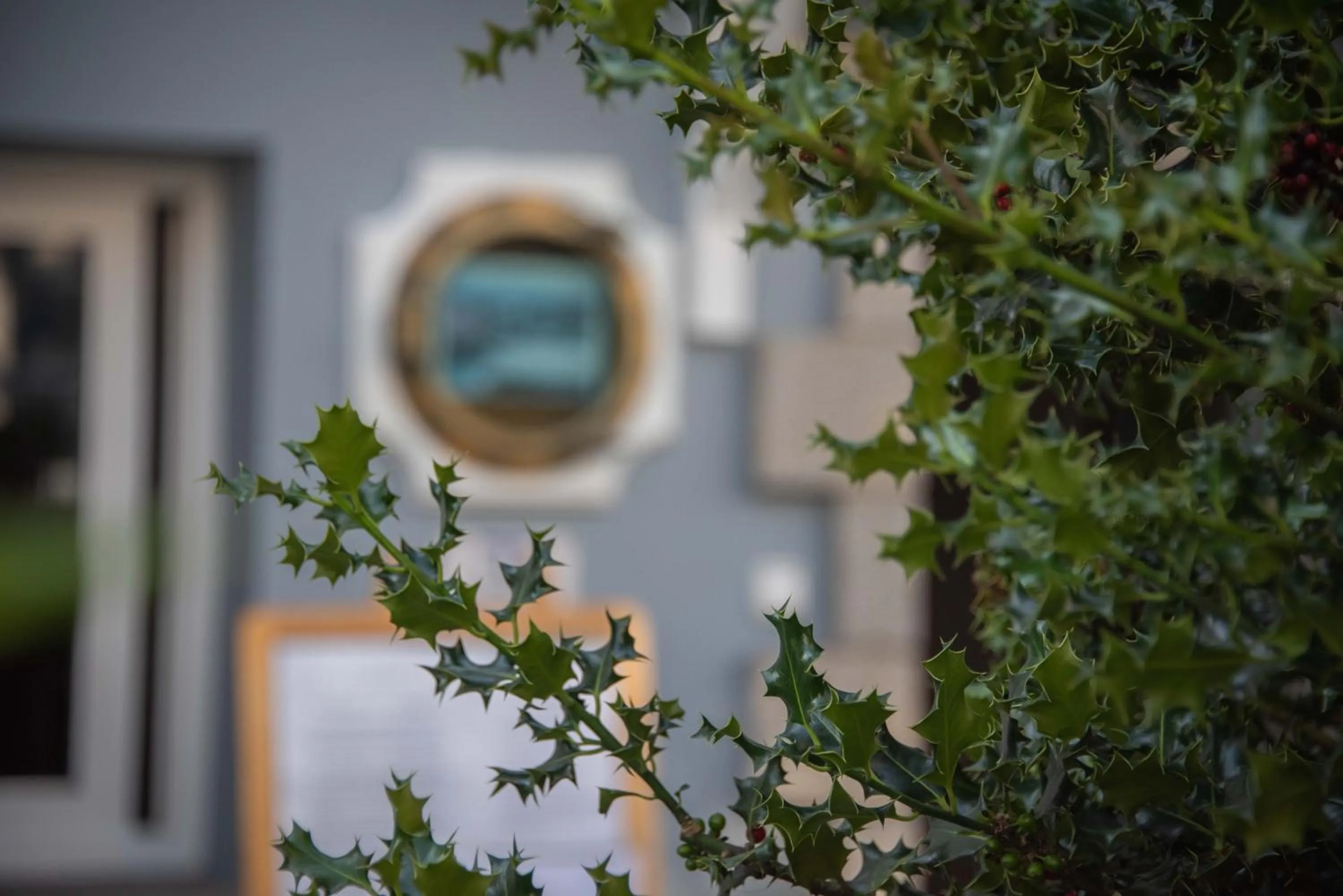 Garden in Hotel Sablón