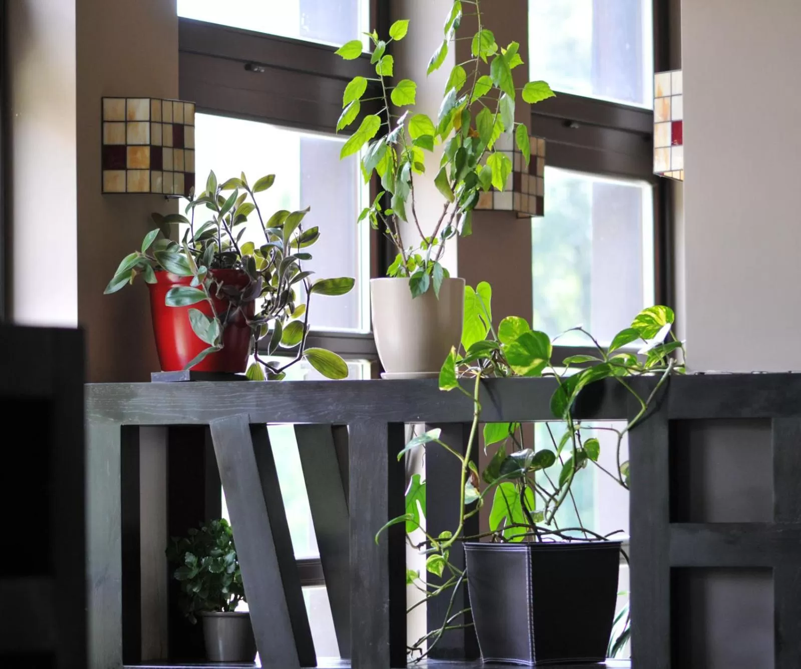 Restaurant/places to eat in Boutique Hotel Sudetia - Medical & SPA