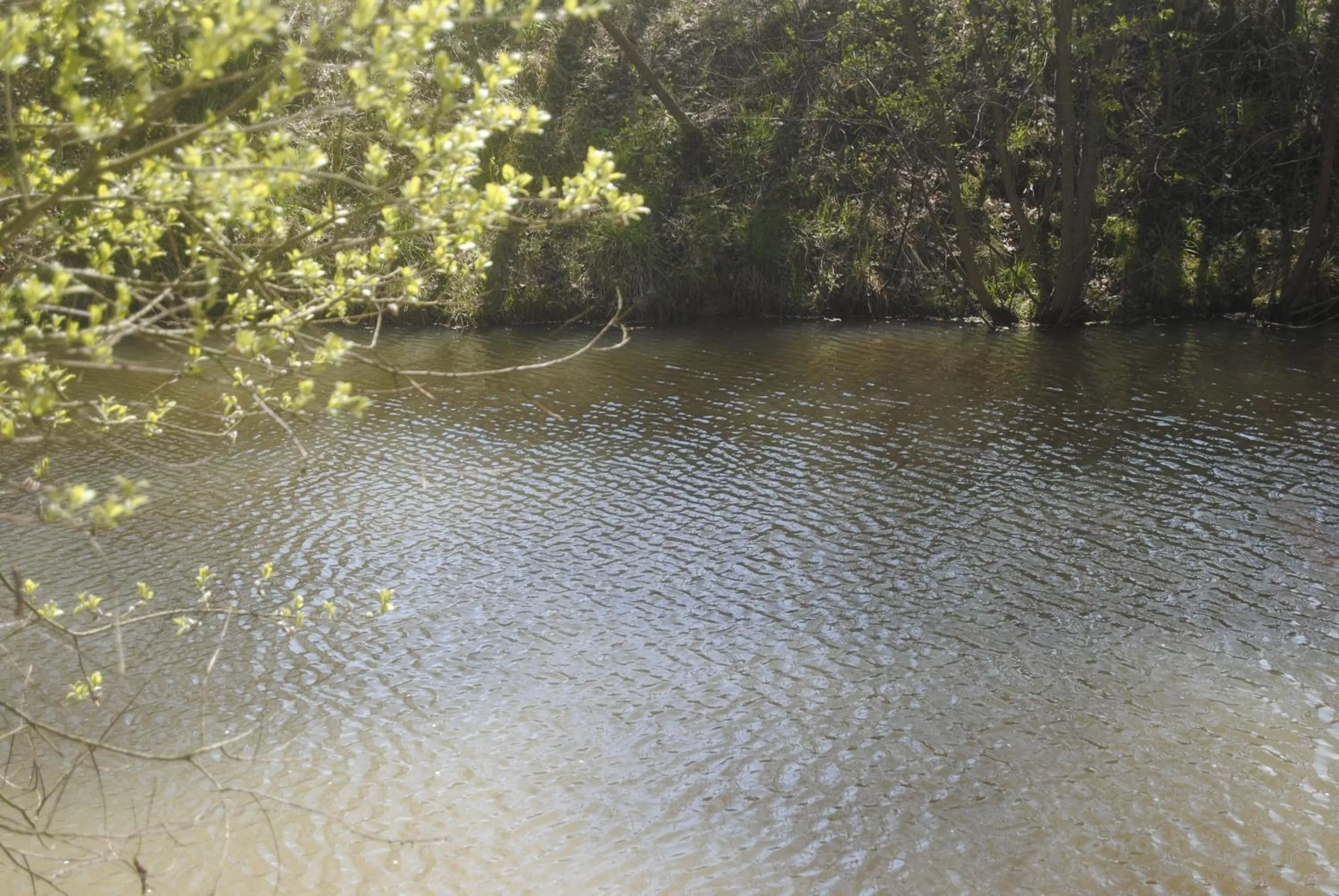 Natural landscape, Lake View in Villasol