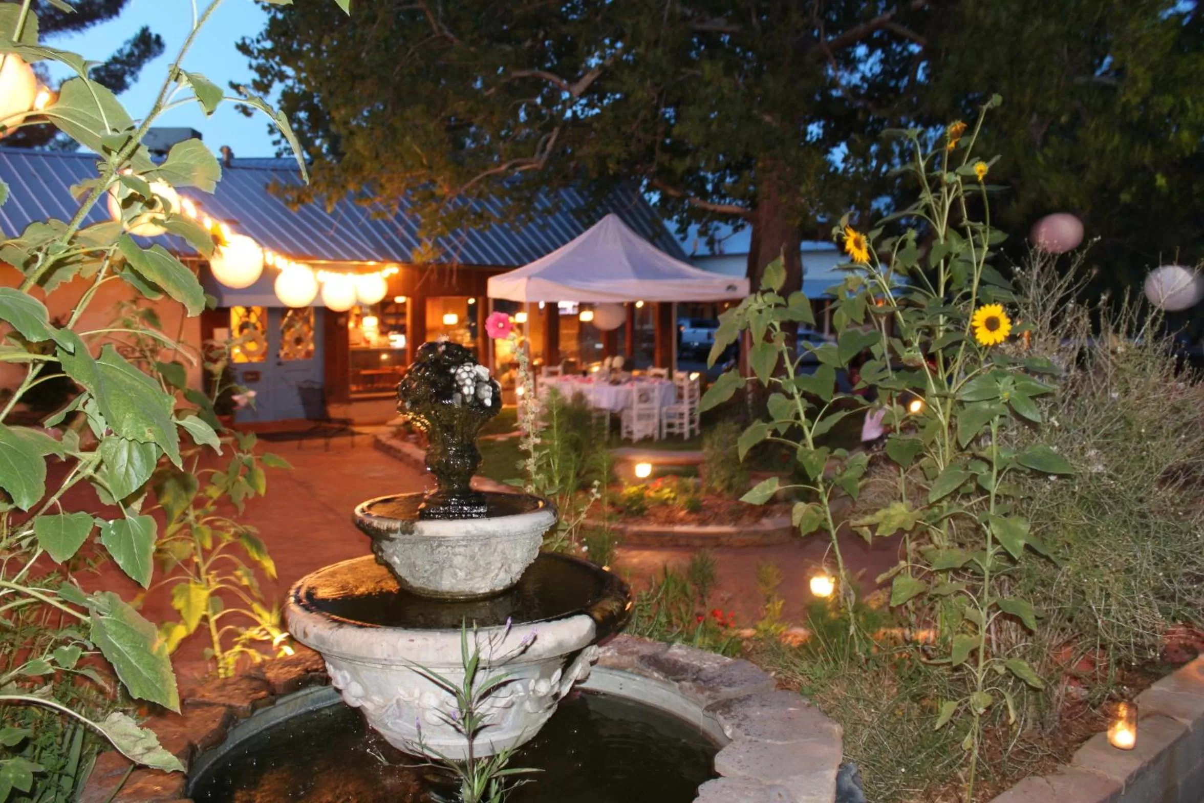 Night in The Hotel Limpia