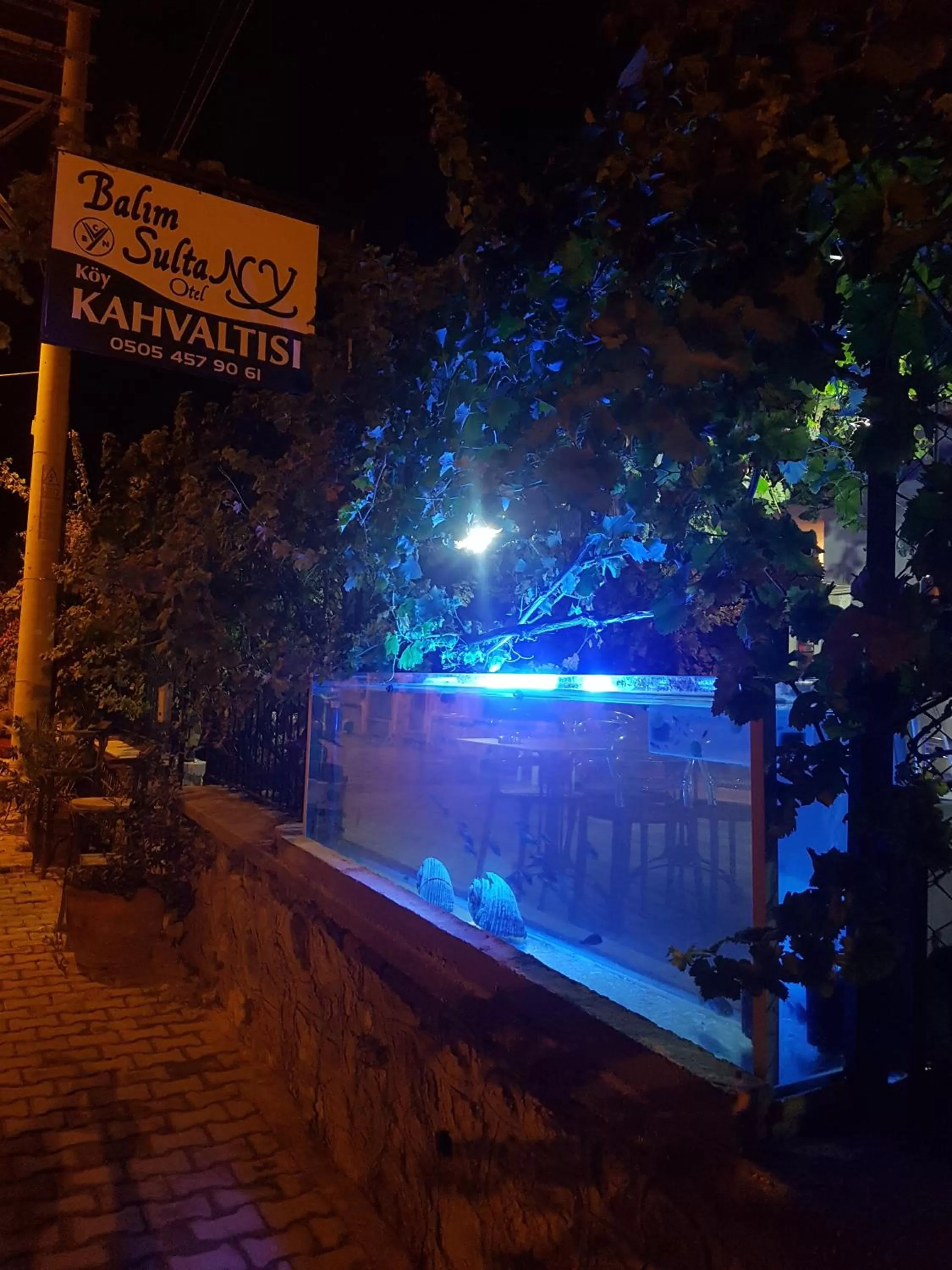 Other in Balim Sultany