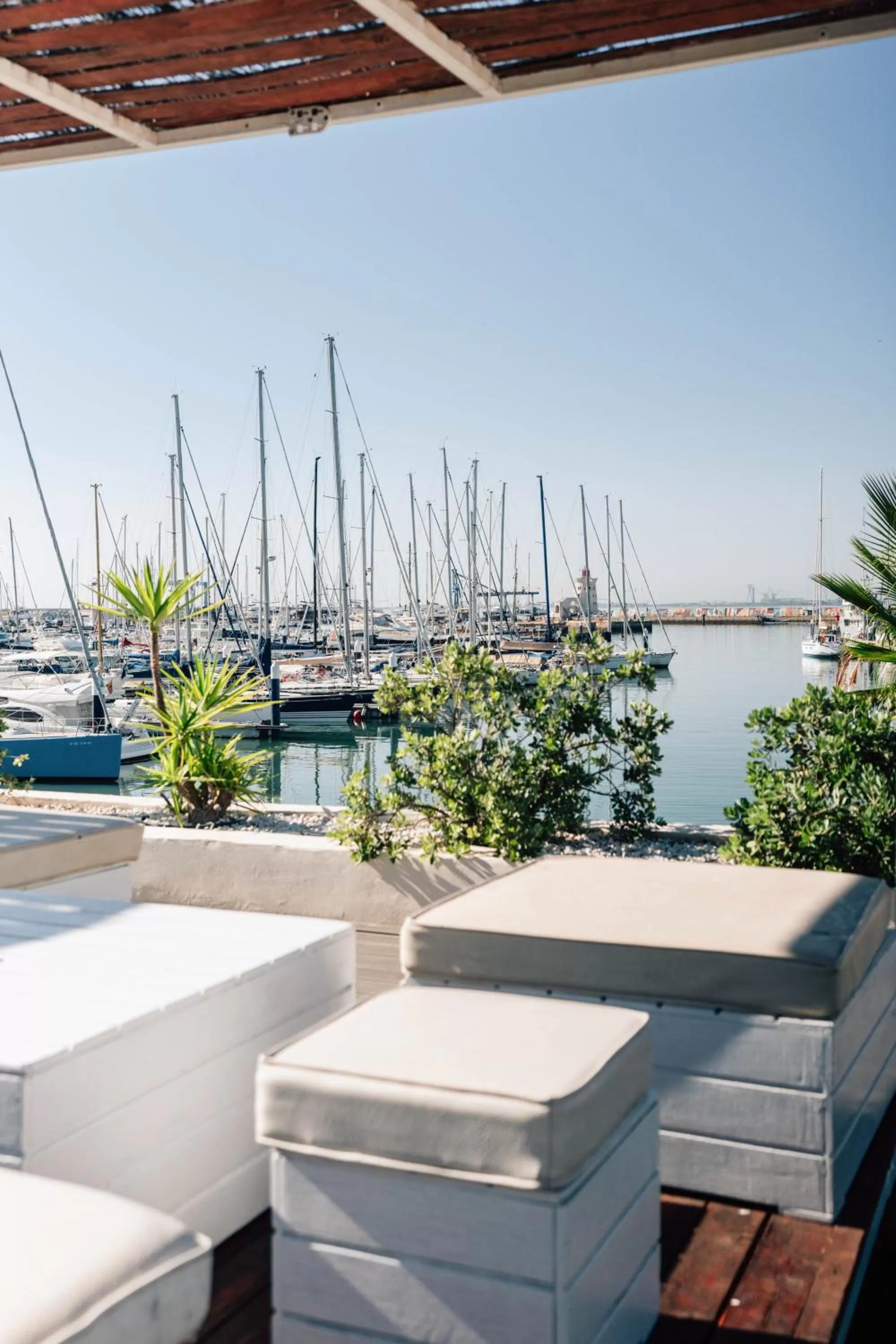 Lounge or bar in Hotel Puerto Sherry