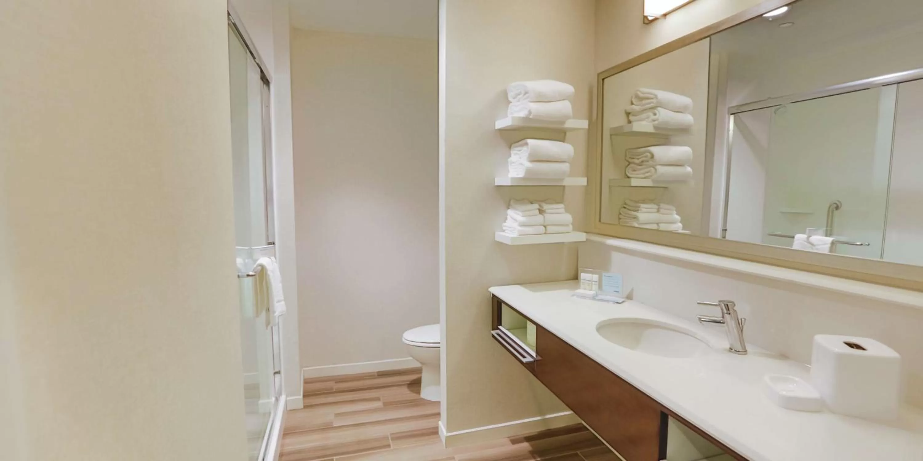 Bathroom in Hampton Inn & Suites Charlotte/Ballantyne, Nc