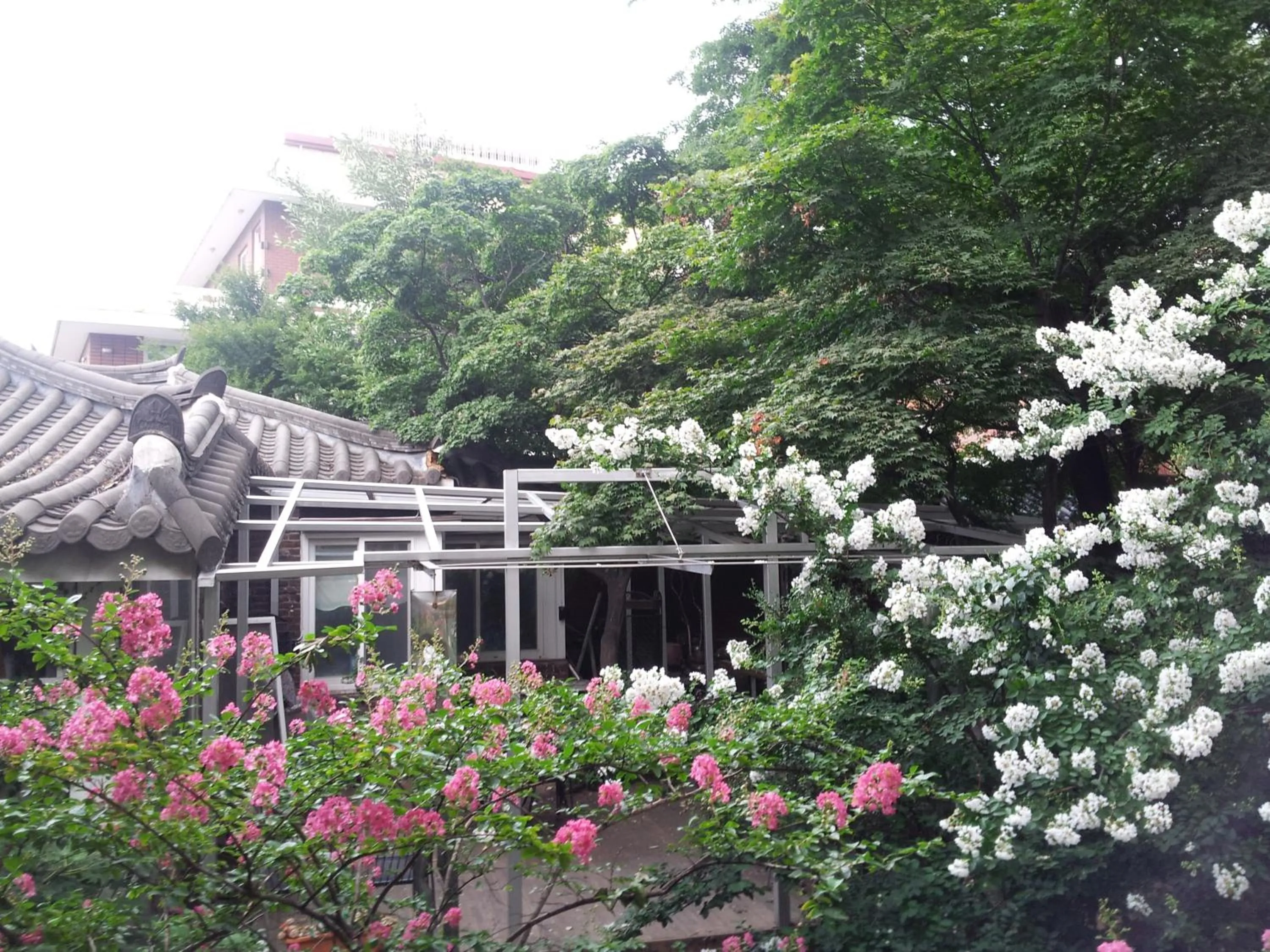 Garden in Jiwoljang Guesthouse