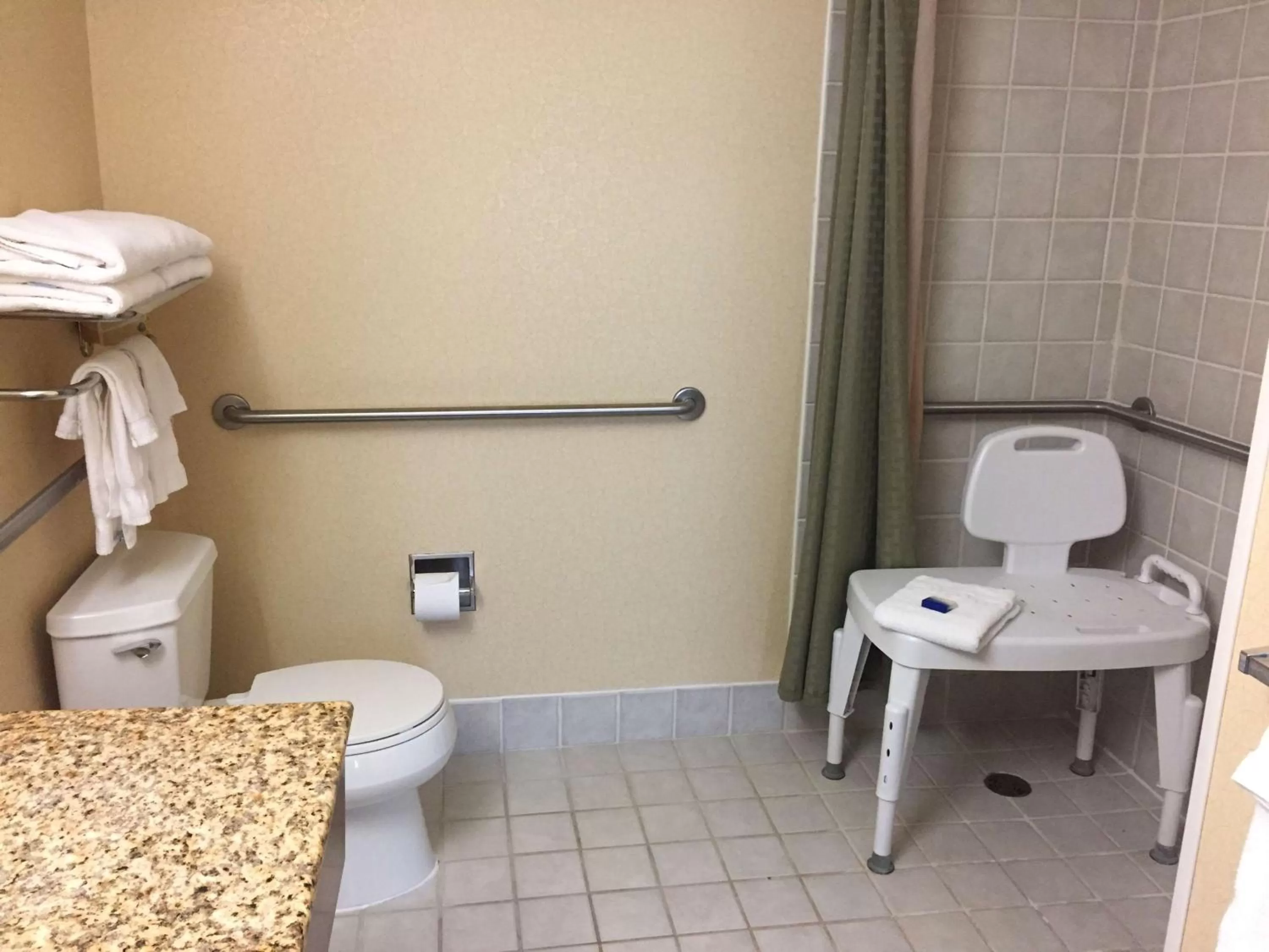 Toilet in Best Western PLUS Hannaford Inn & Suites
