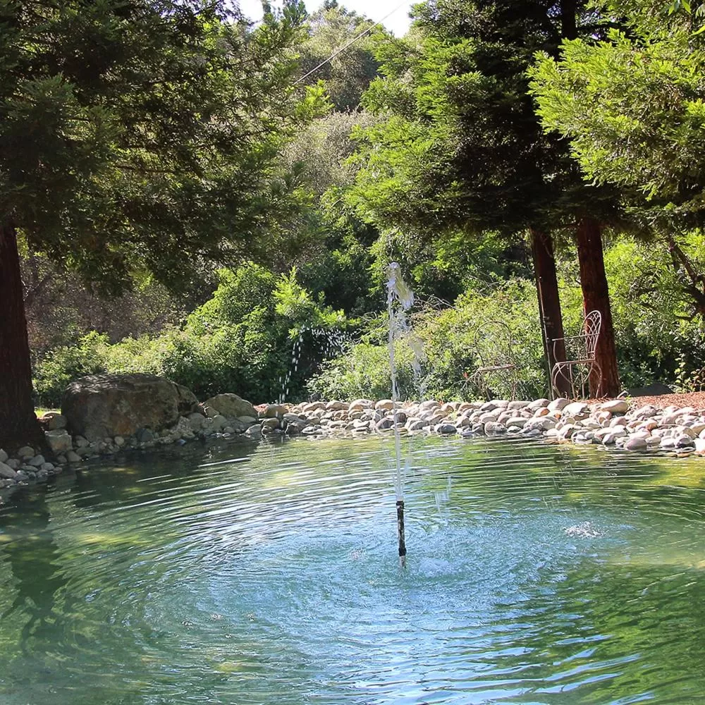 Garden in Bella Vista Bed and Breakfast