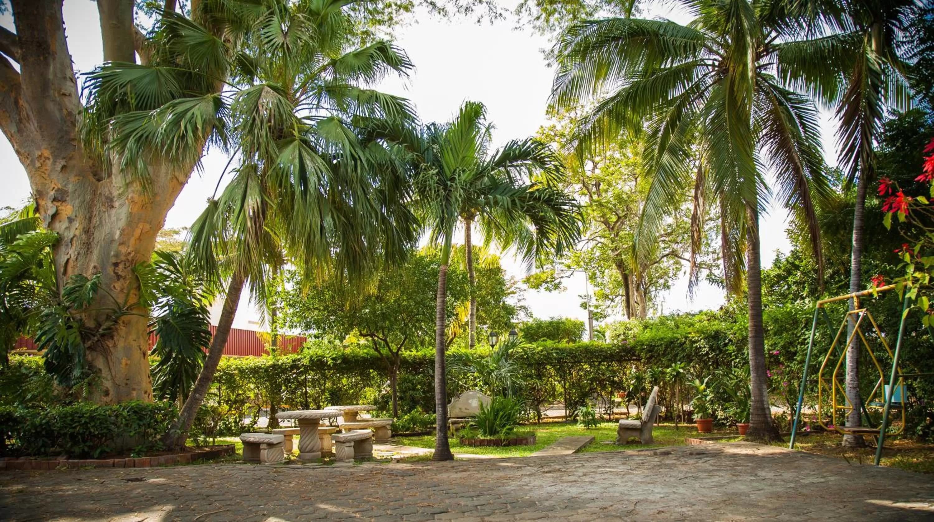 Garden in Hotel Estrella