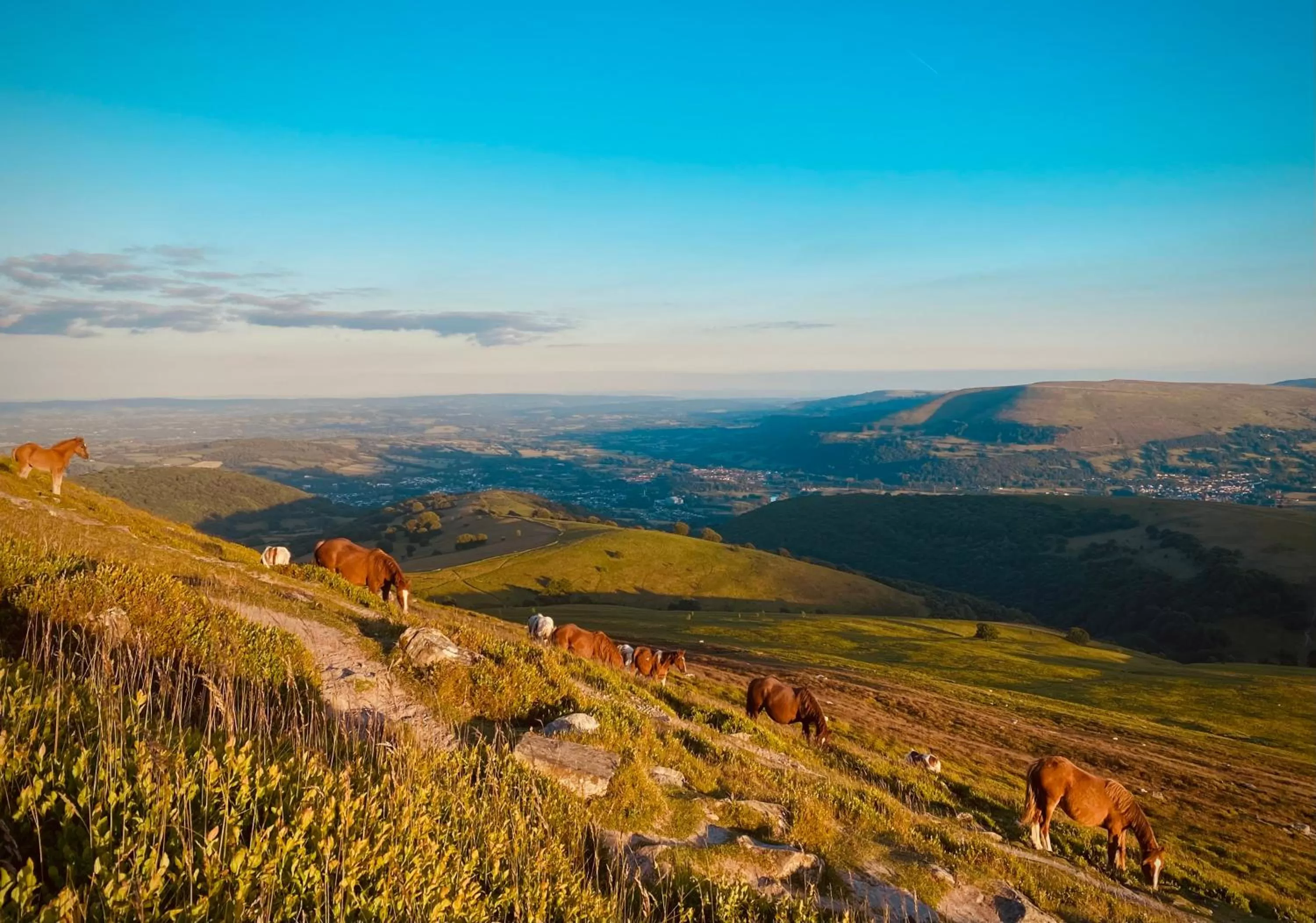 View (from property/room) in Lamb & Flag Inn