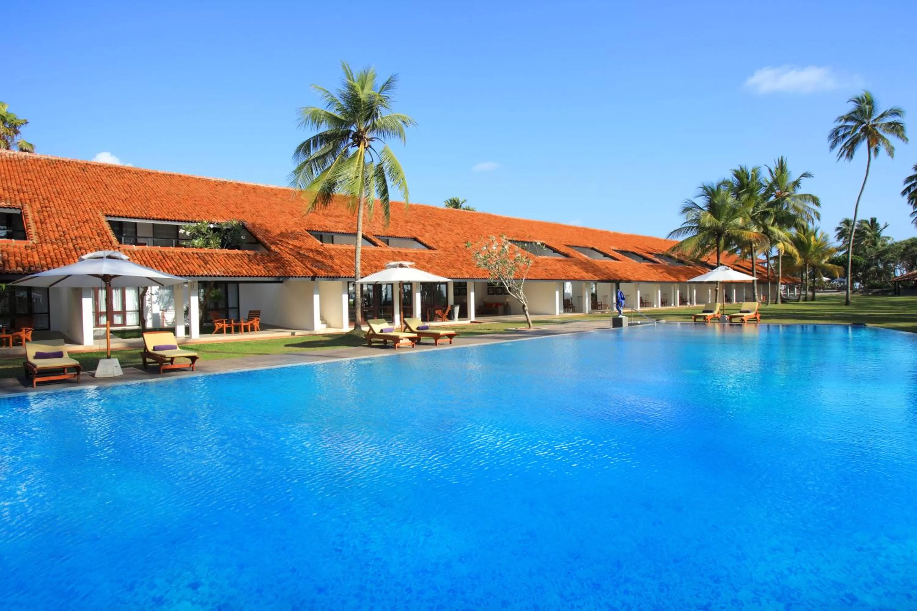 Swimming pool in Thaala Bentota