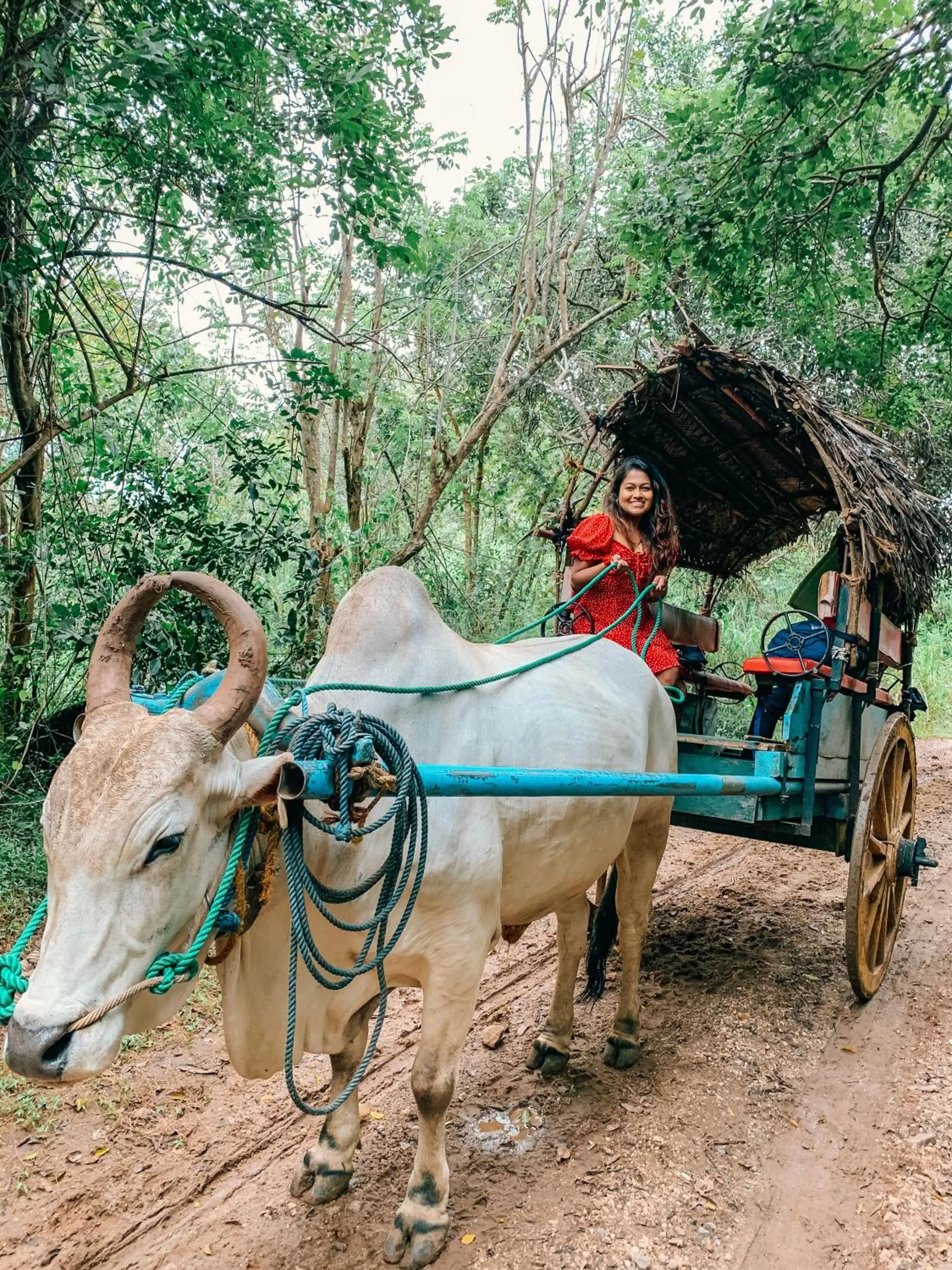Other Animals in Sigiriya Kingdom Gate Dambulla