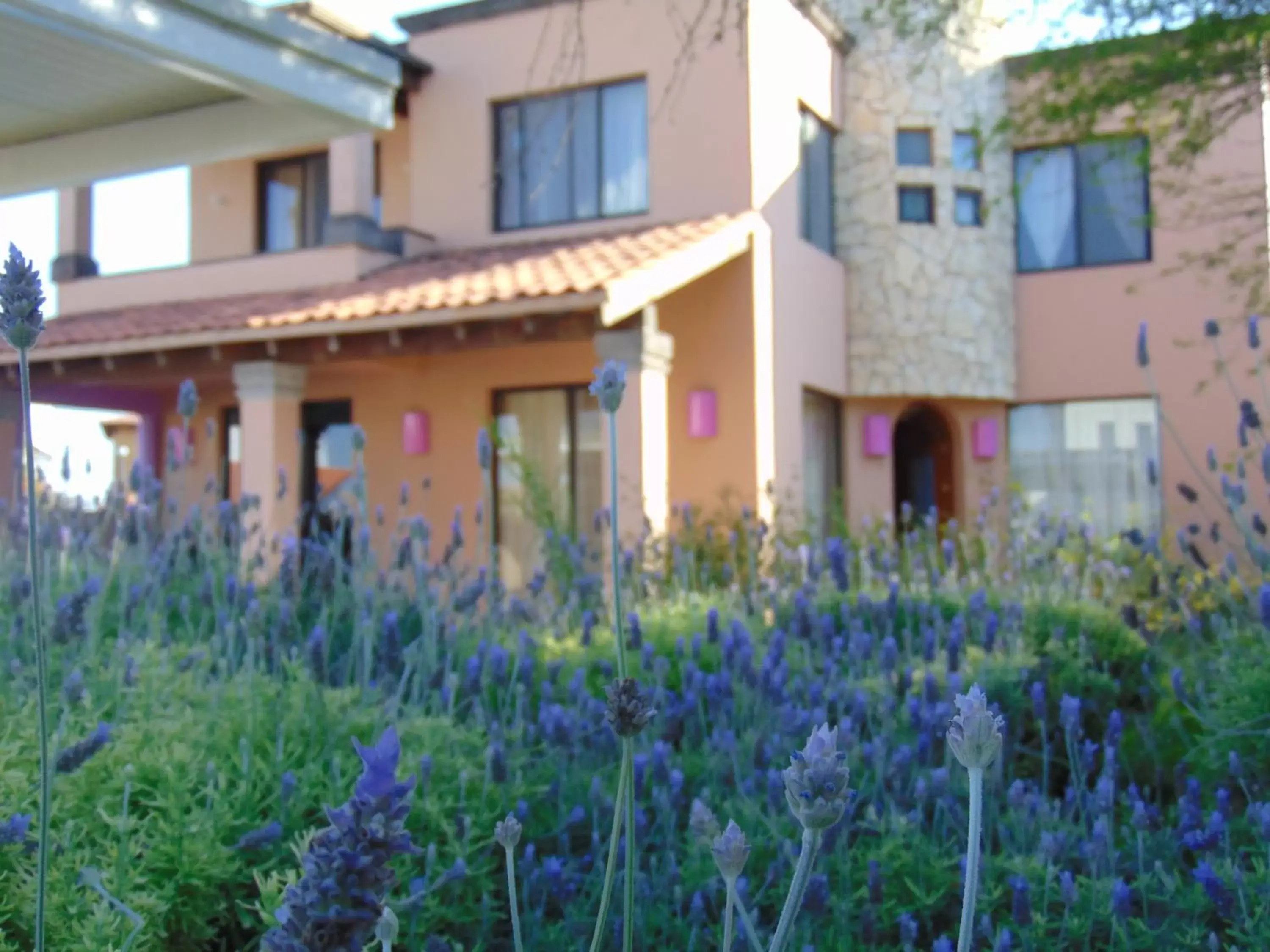 Four-Bedroom House in Hotel Feregrino Four-Bedroom House in Hotel Feregrino