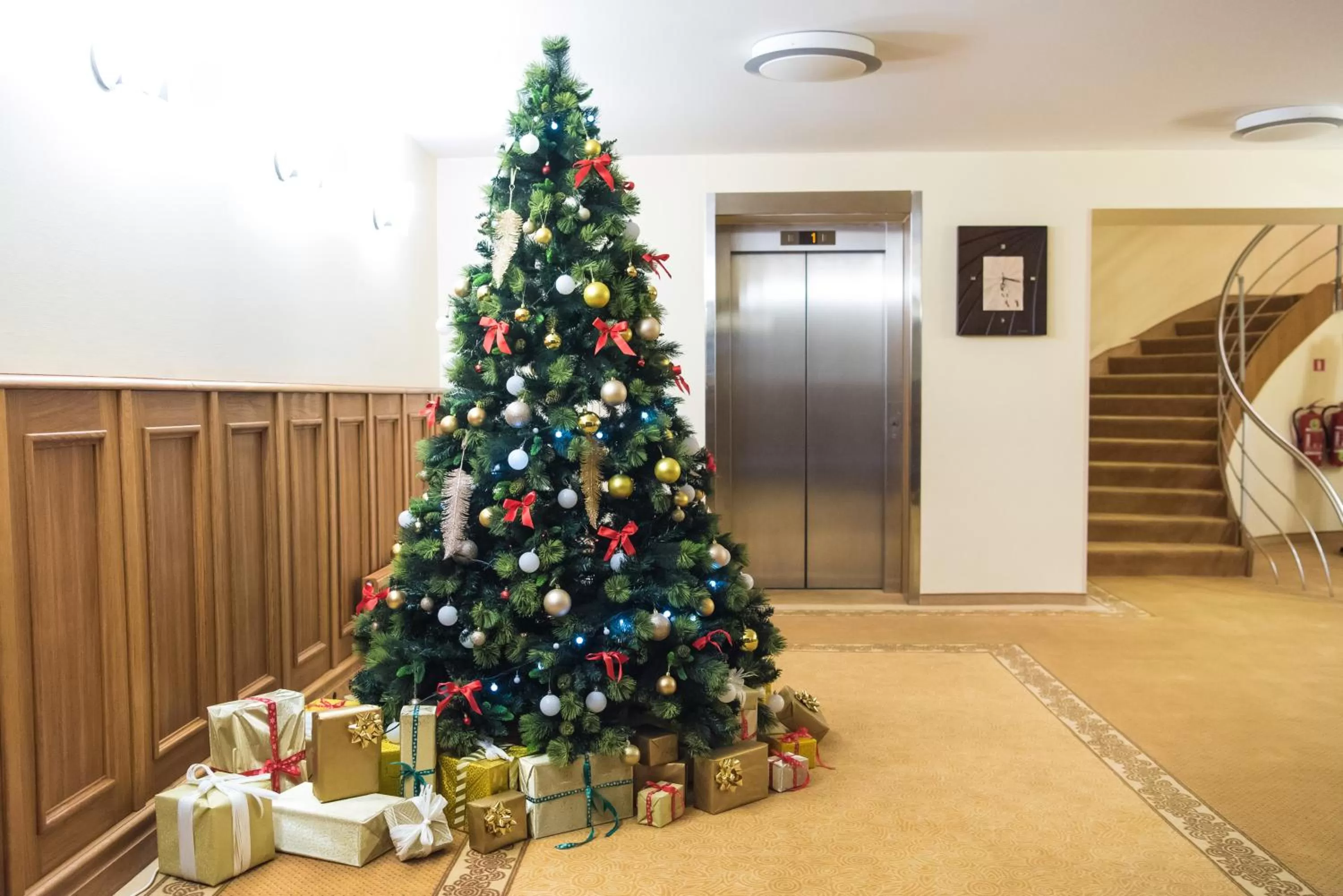 Winter in Hotel Tigra