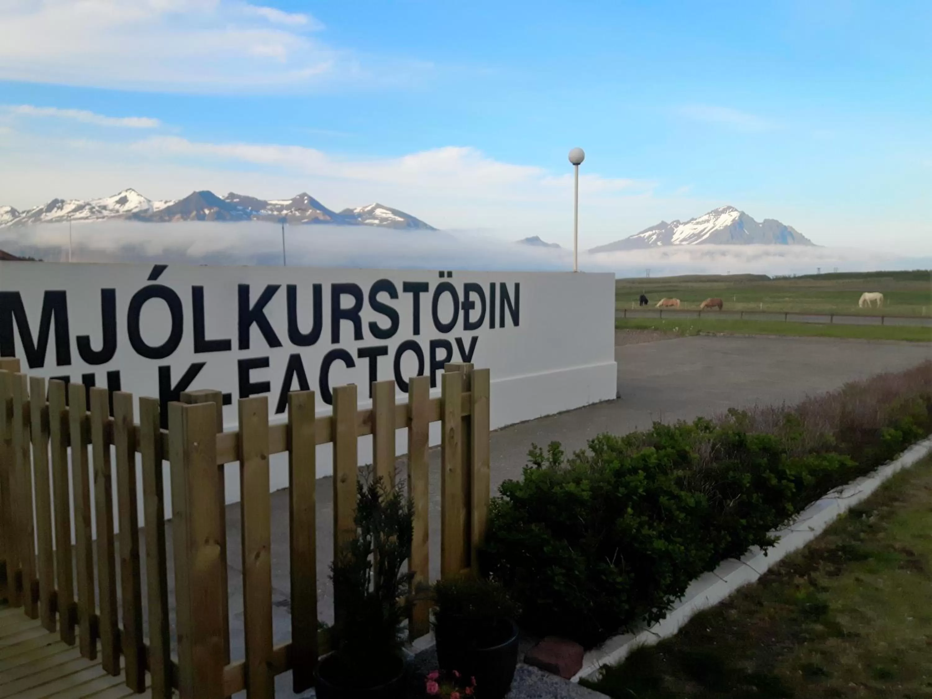 Lobby or reception in Milk Factory