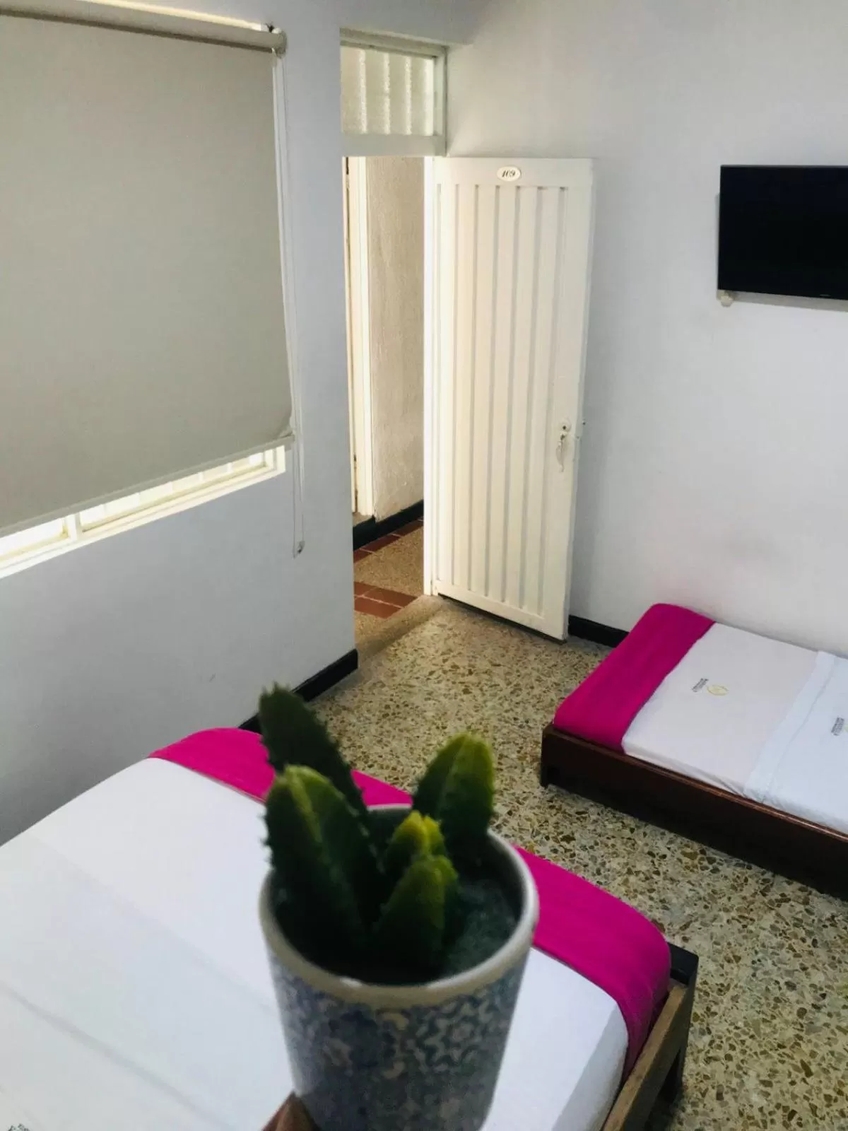 Photo of the whole room in HOTEL MACEO MELGAR