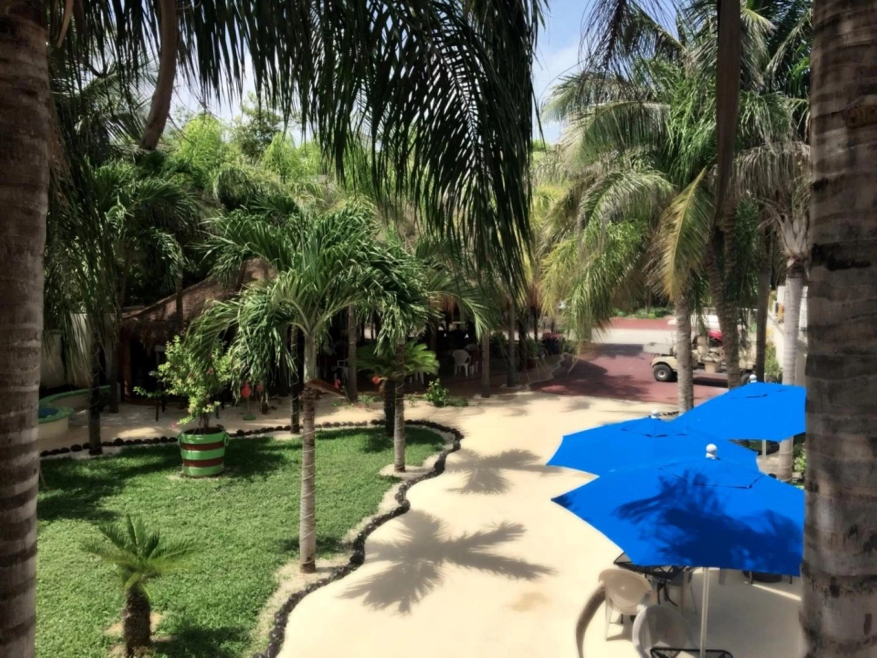 Garden in Villas Coco Resort - All Suites