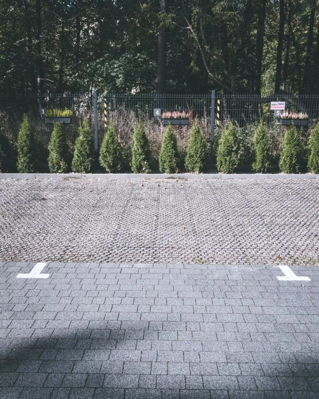 Garden in Jagiellońska Residence