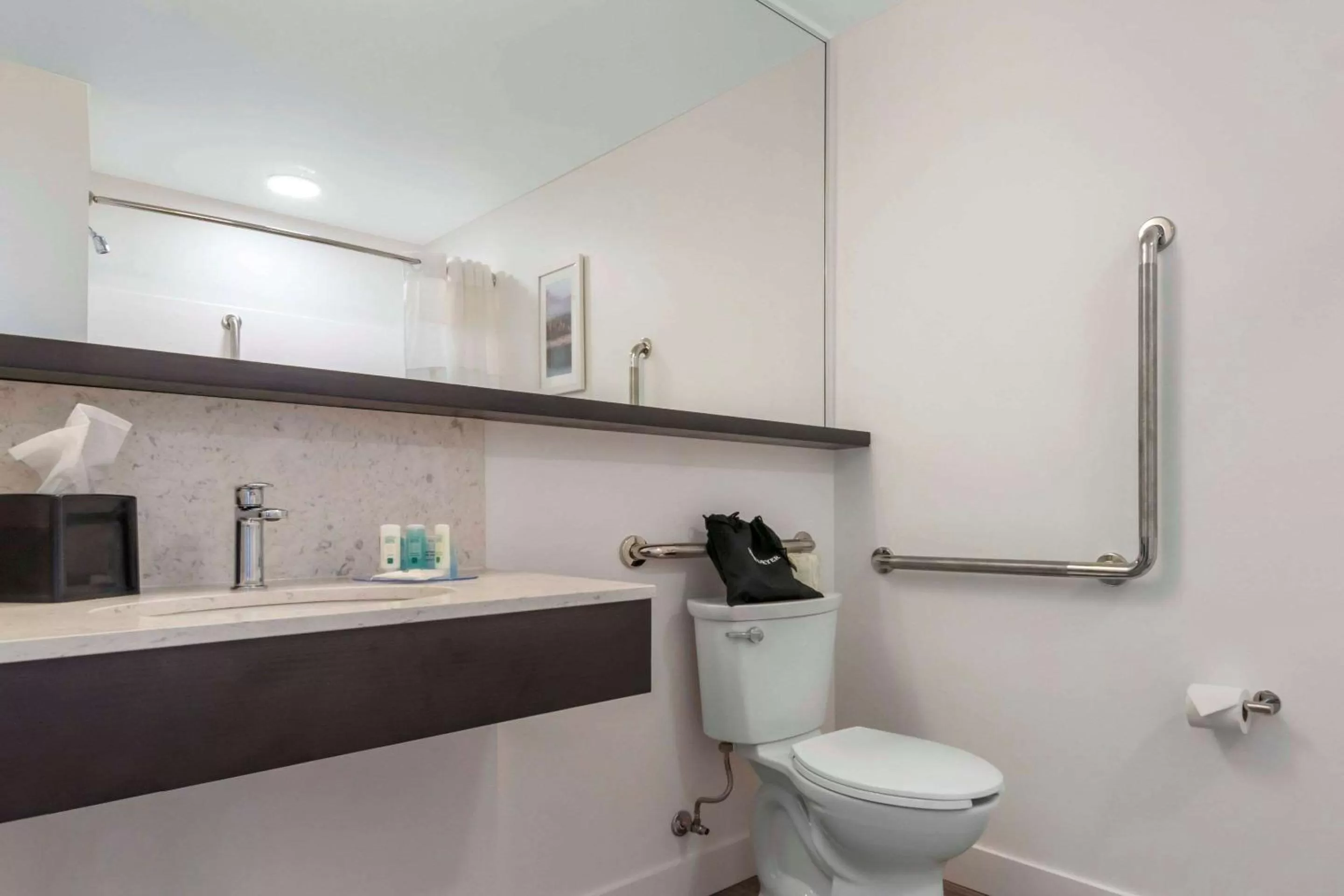 Bathroom in Quality Inn