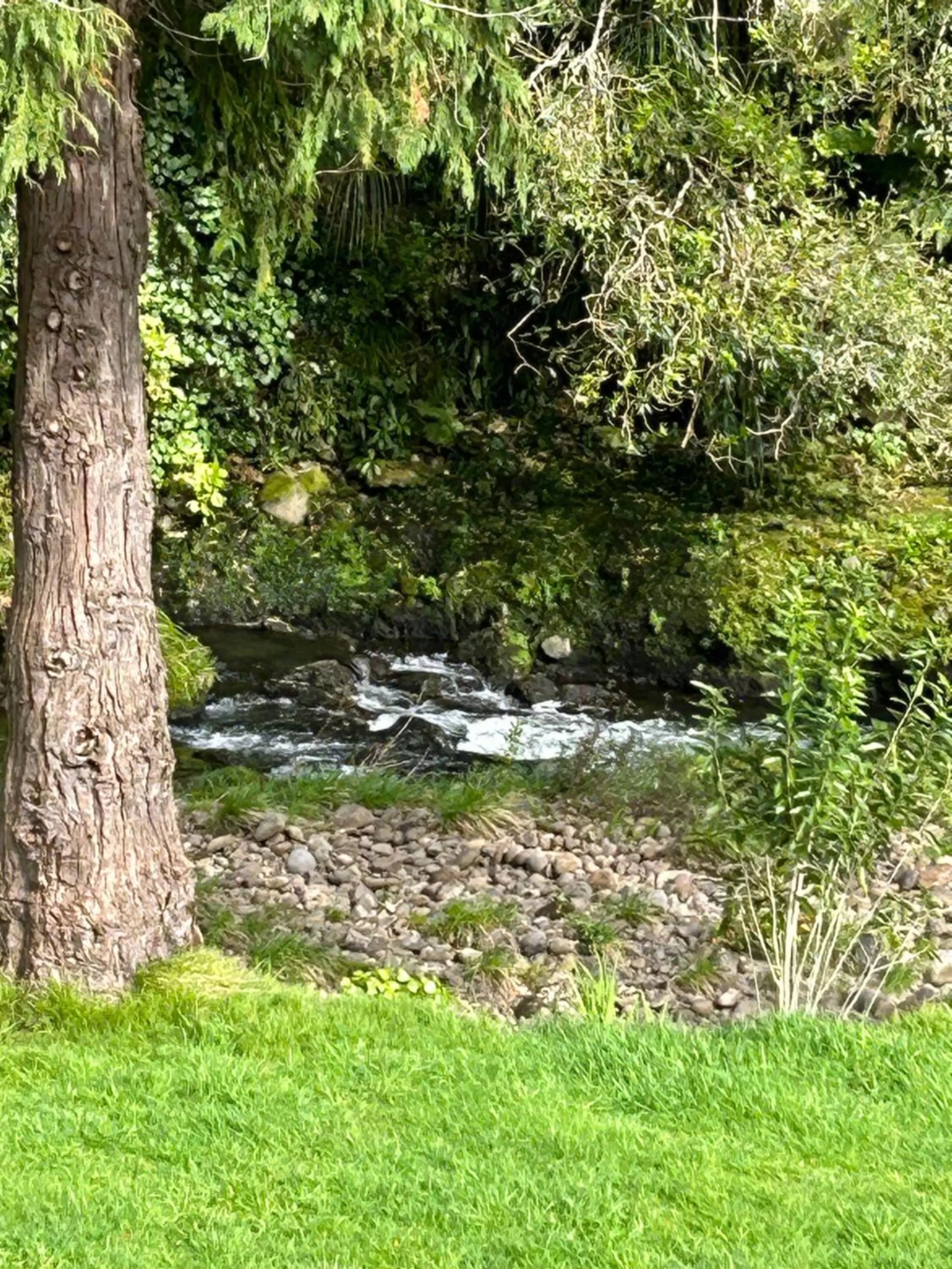 Natural landscape in Almost Heaven BNB