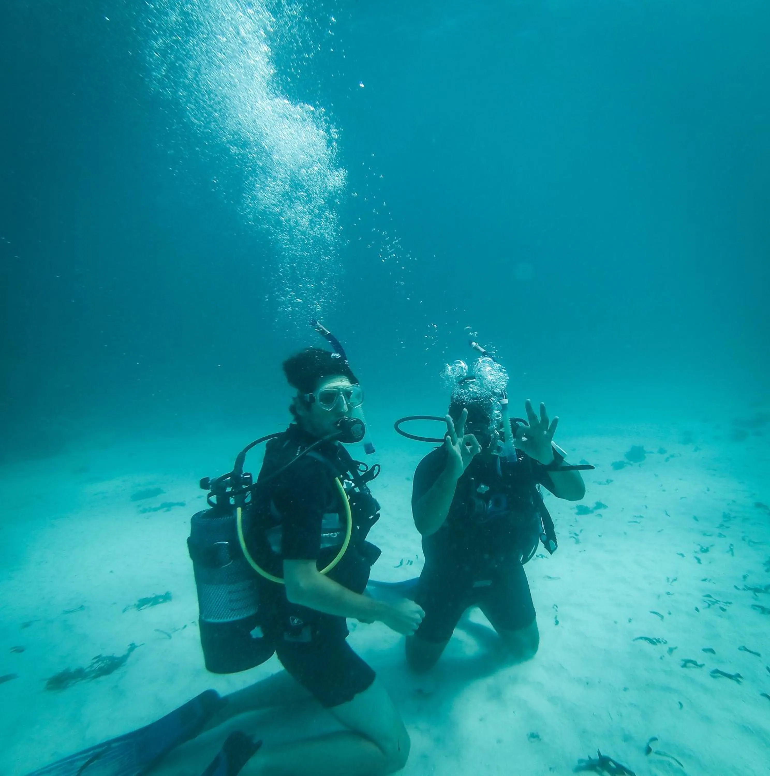 Diving in Distant Relatives Ecolodge & Backpackers