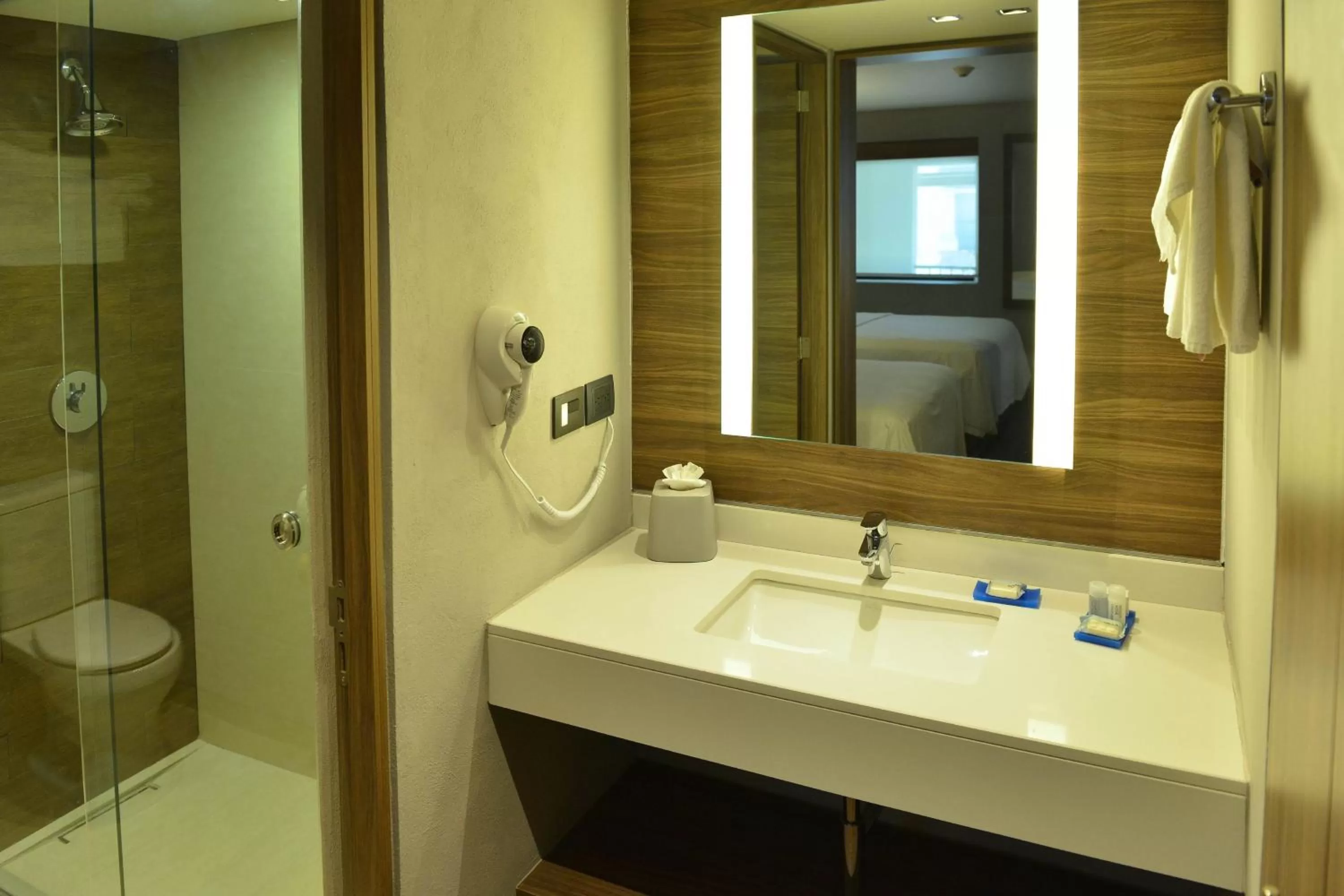 Bathroom in Holiday Inn Express Morelia by IHG