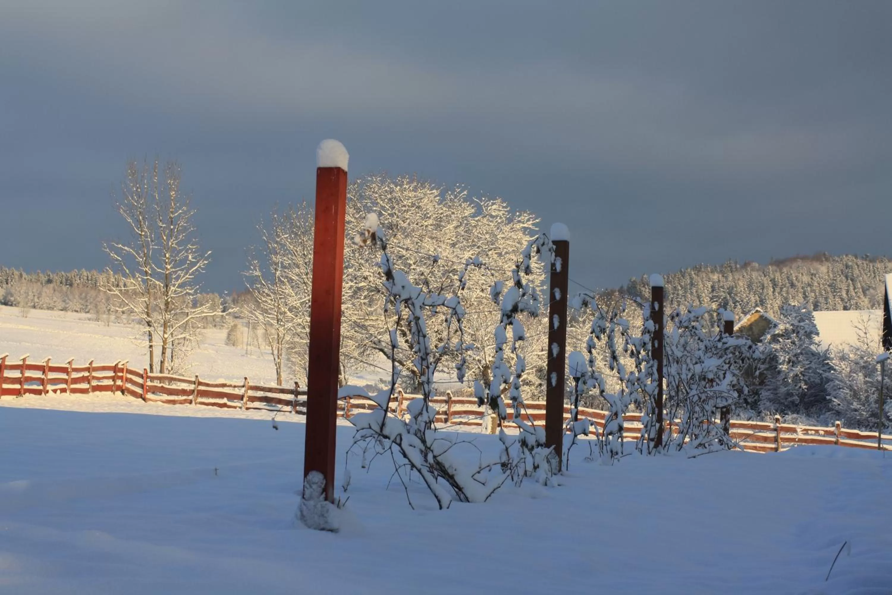 Other, Winter in Dom na Klonowym Wzgórzu