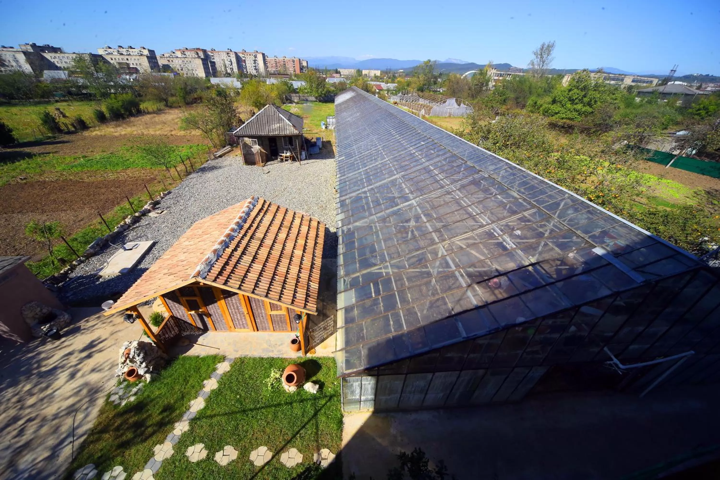 Garden view in Hotel Harmony