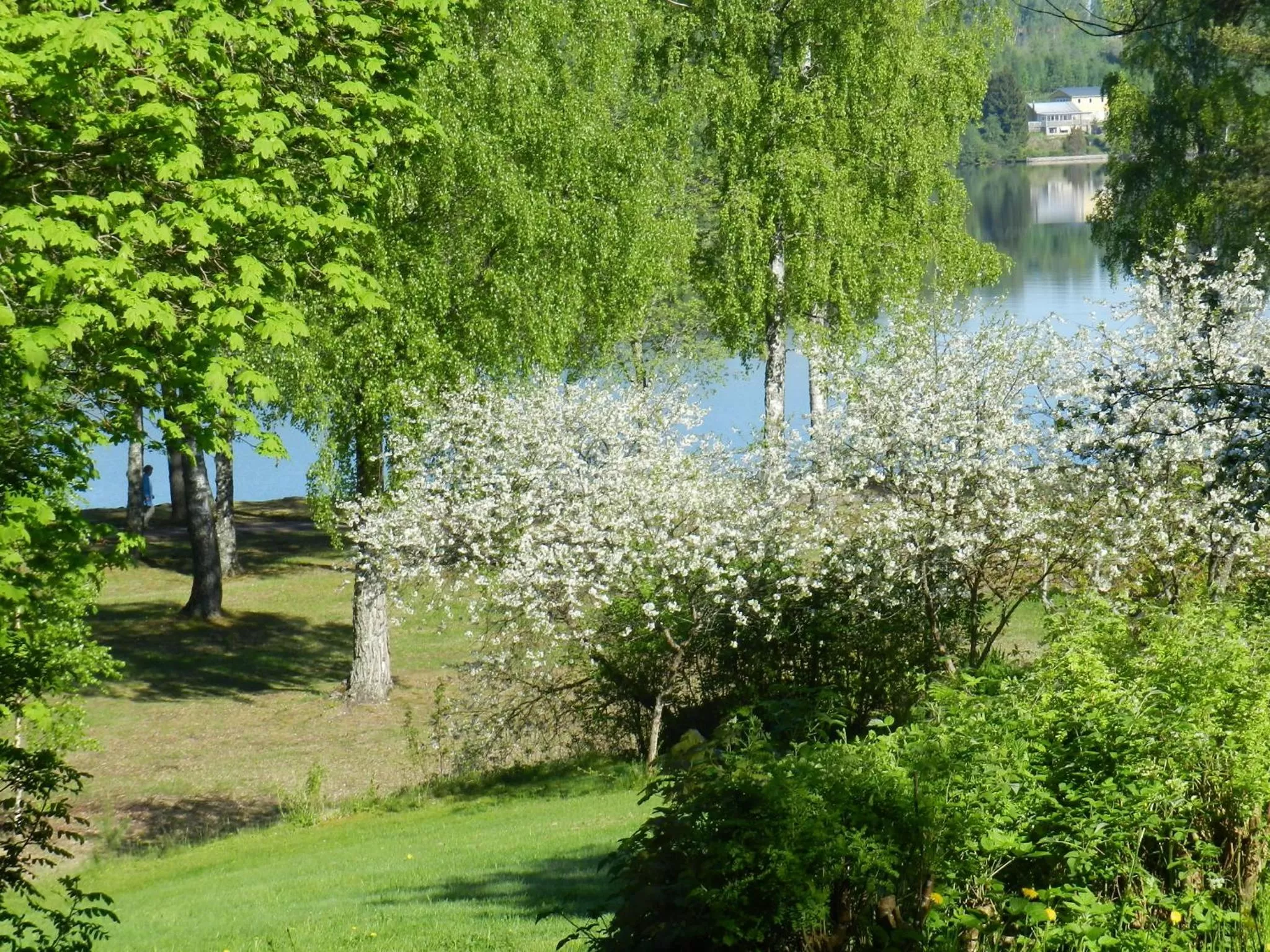 On site, Garden in Sköna Rum Fryksta