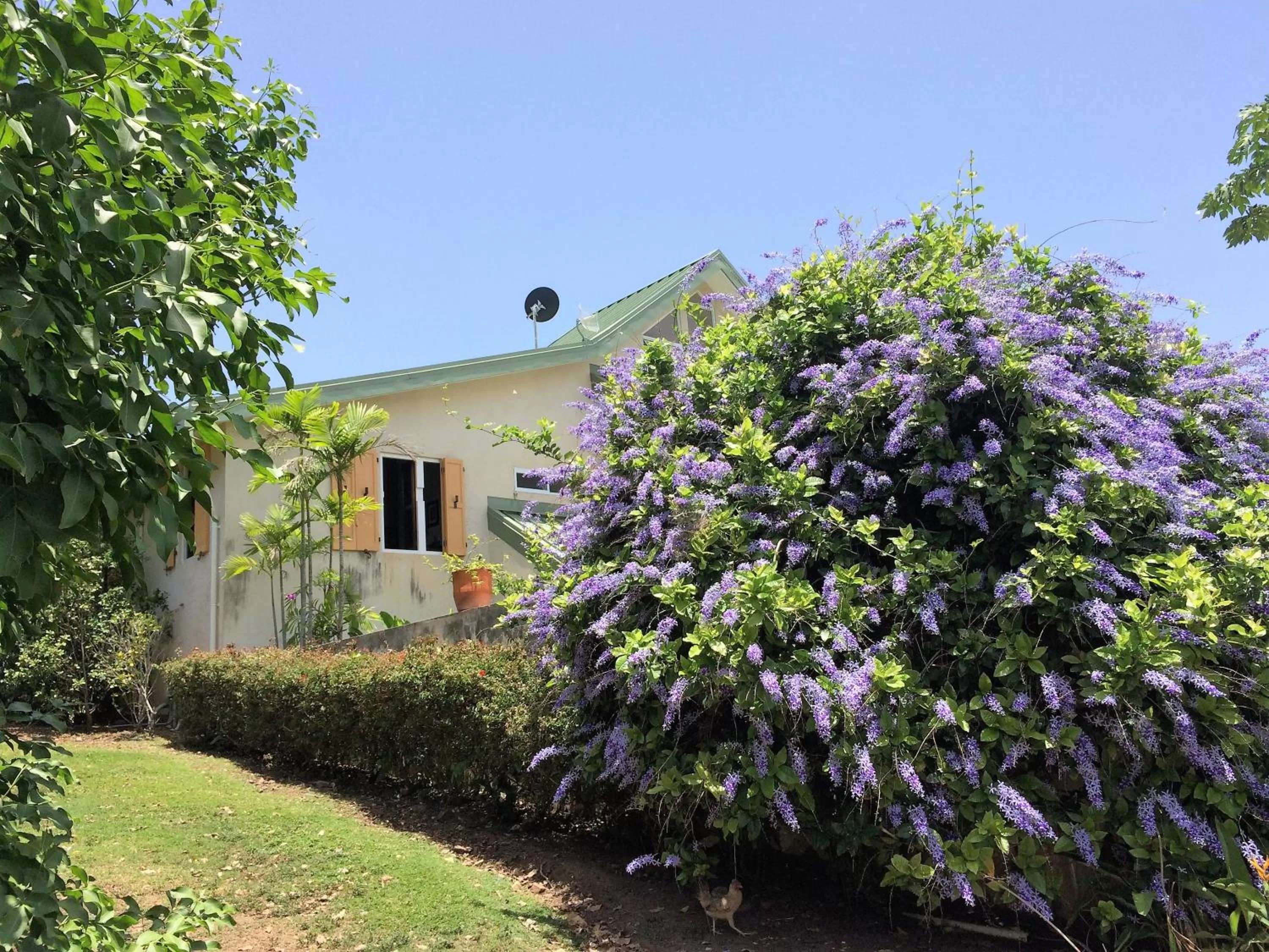 Property Building in 4 Casitas