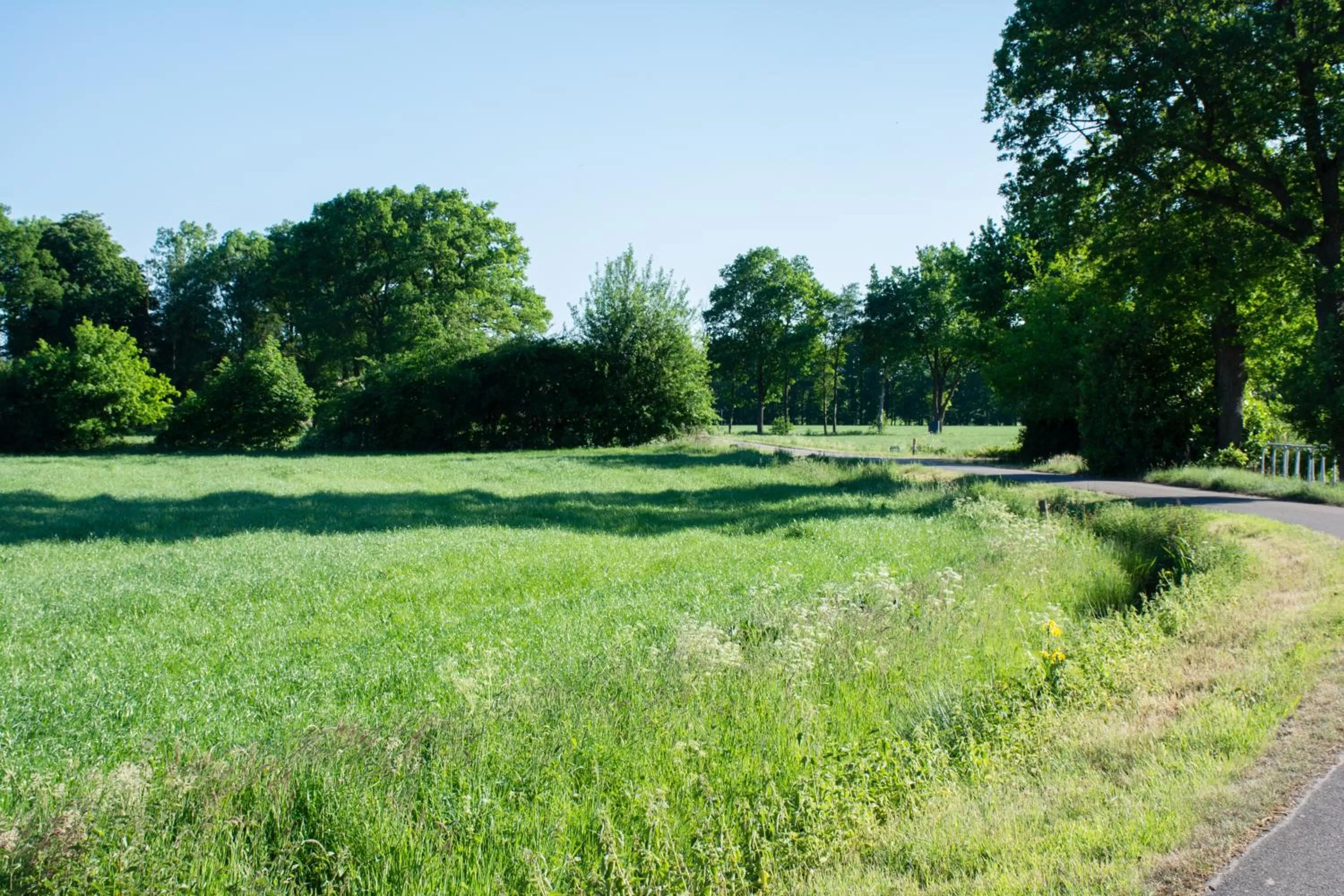 Garden view in B&B Erve de Bosch