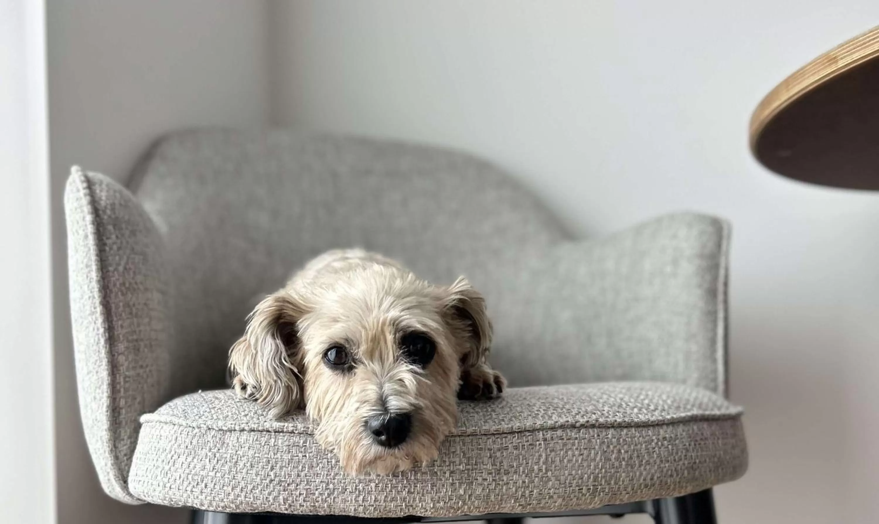 Bedroom in Best Western Plus Ten Hotel