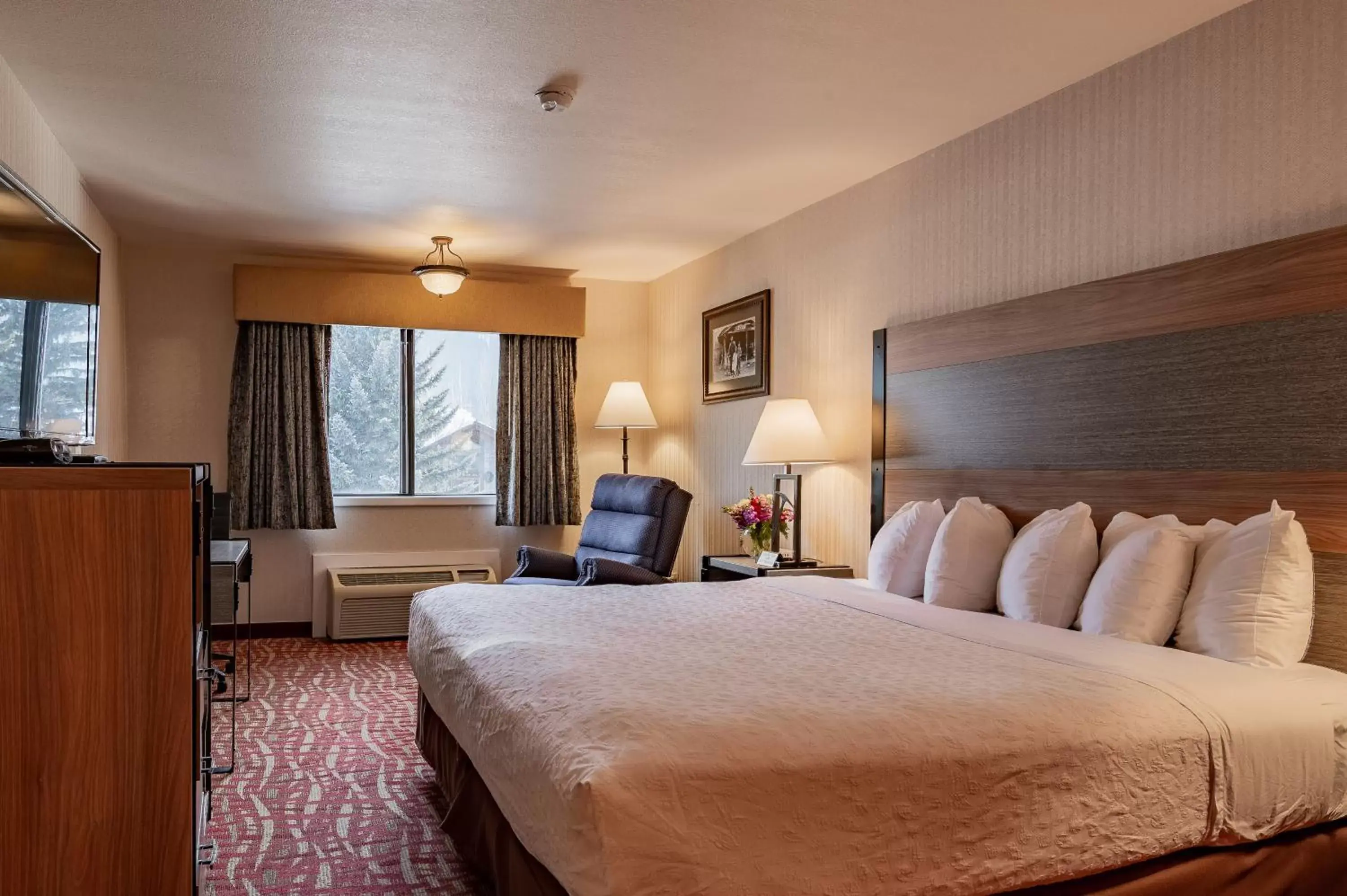 Standard King Room - single occupancy in 49'er Inn & Suites Standard King Room - single occupancy in 49'er Inn & Suites