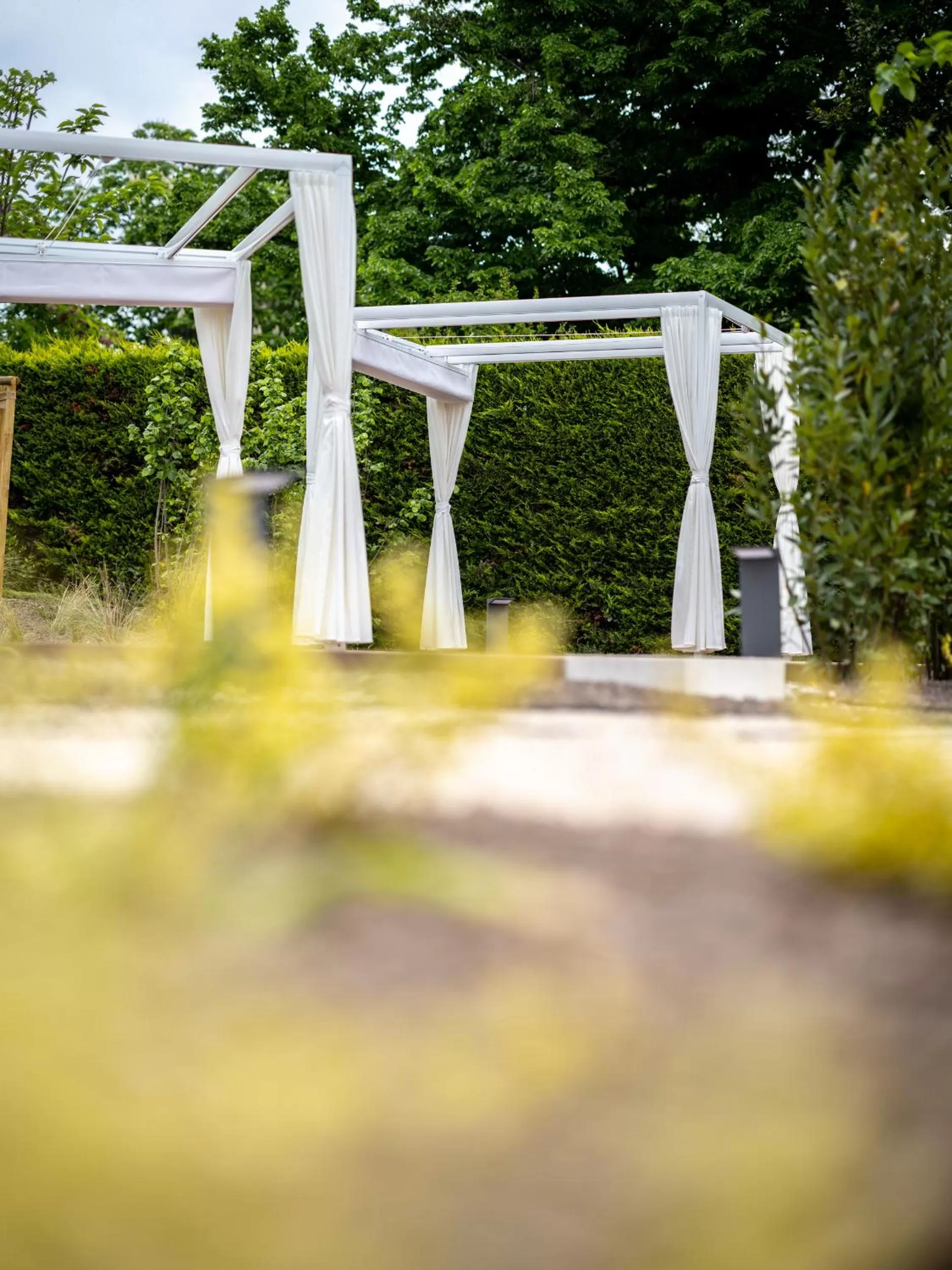 Garden in Hotel Villa Rosetta