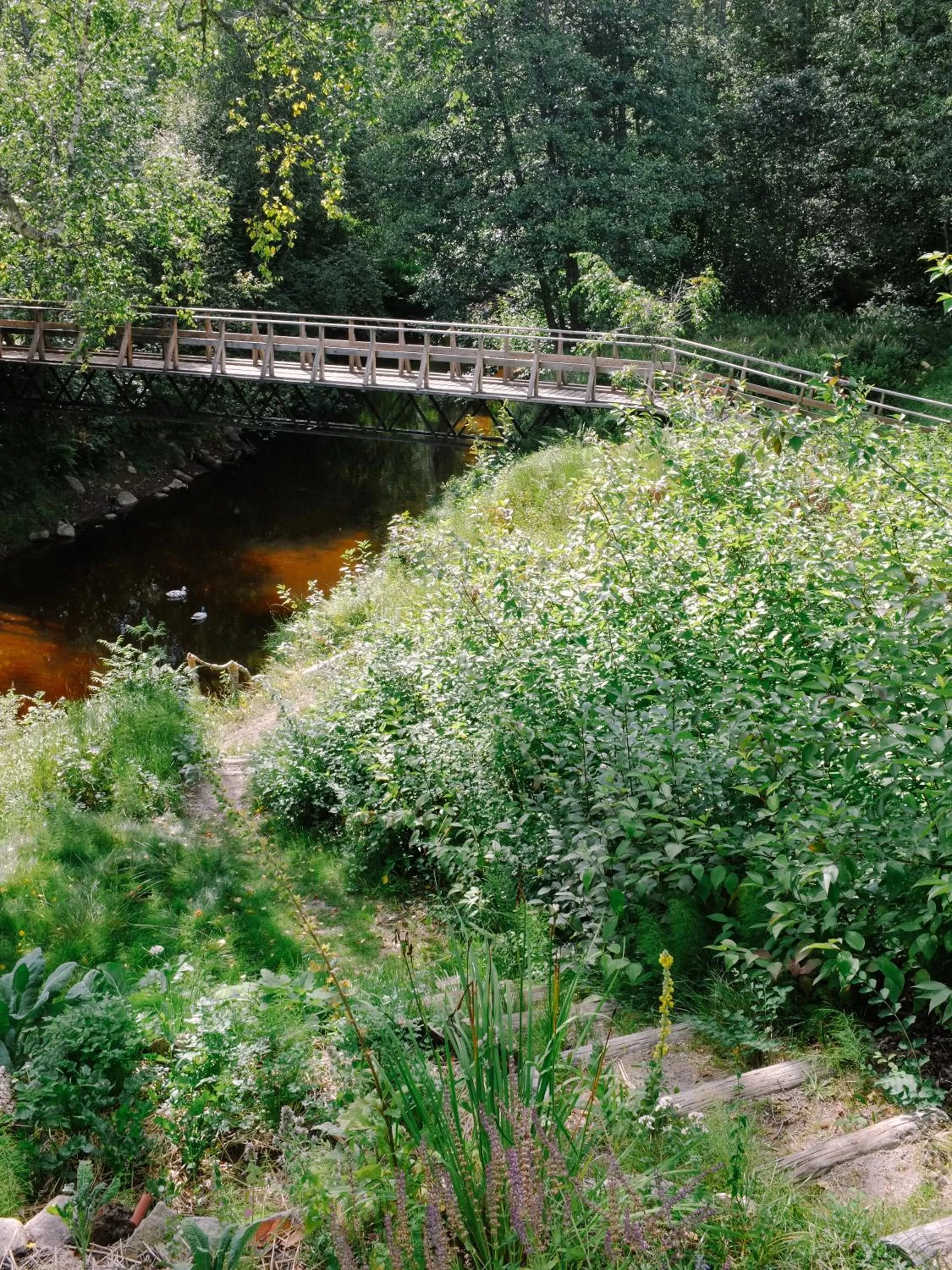 Beach in Baggå Skola BnB & Café