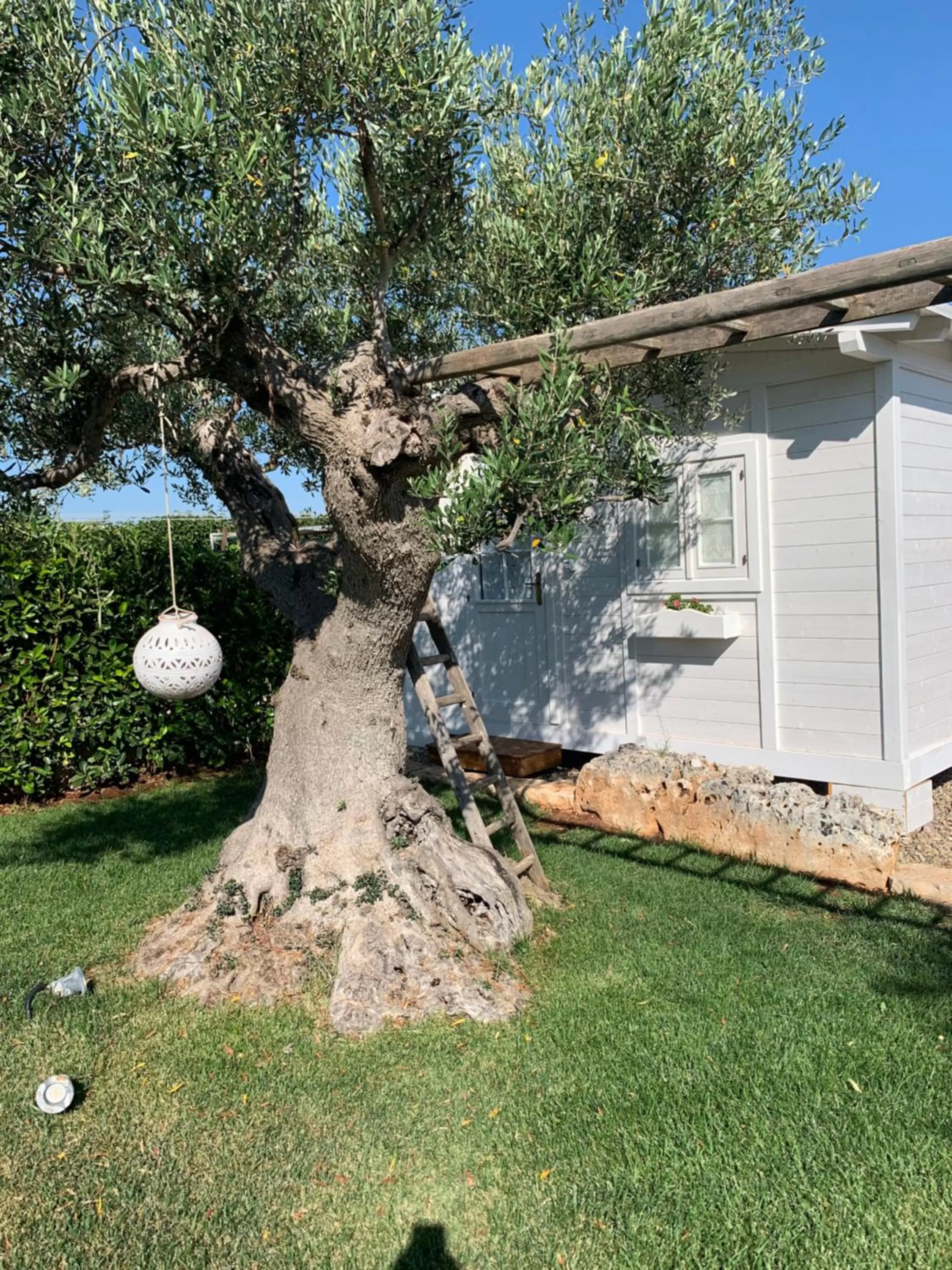 Garden in B&B Villa Grassi