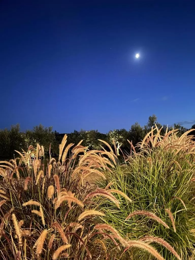 Property building in Baglio Custera