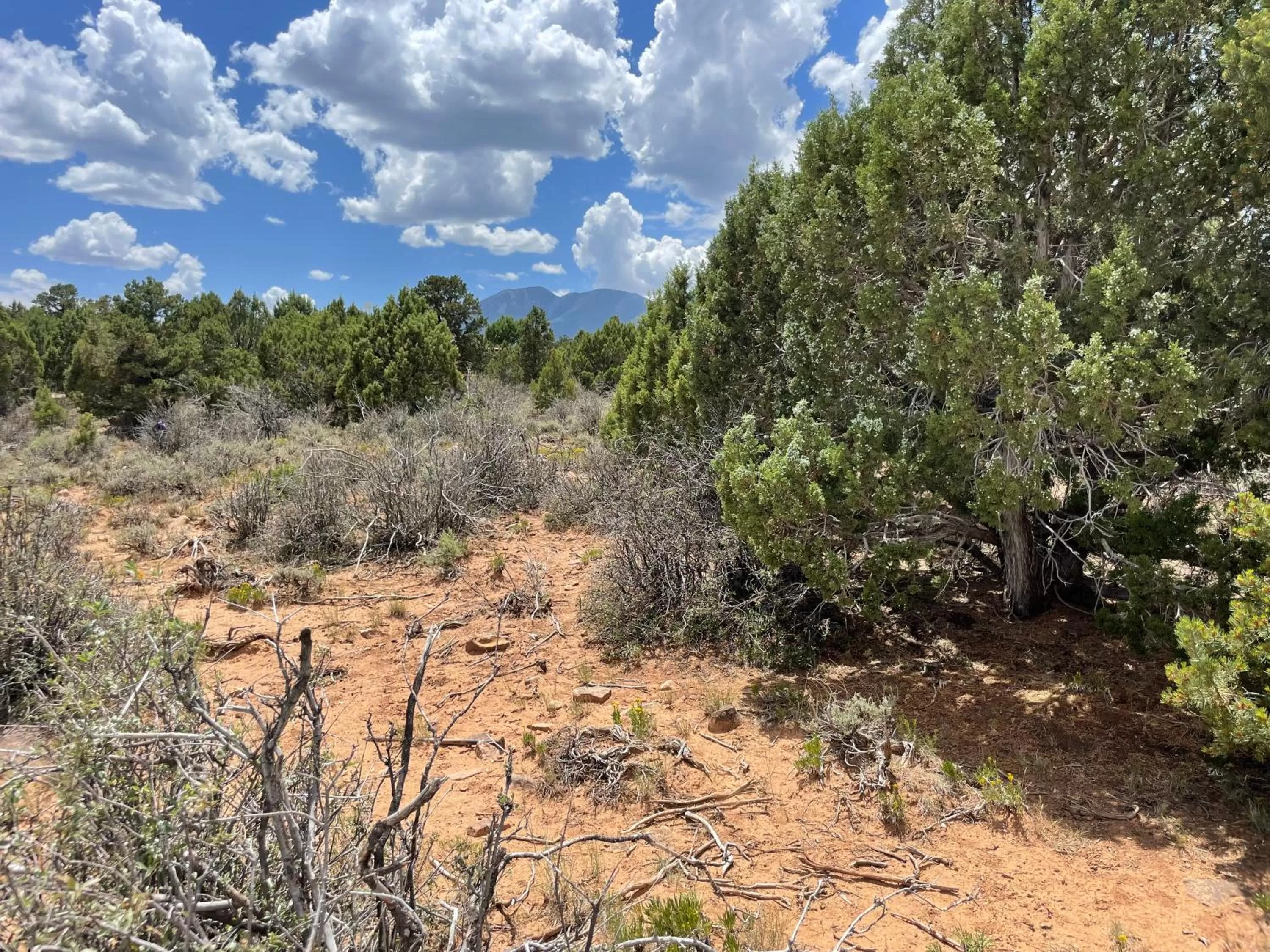 Day in Blue Mountain Domes - The WOW Experience