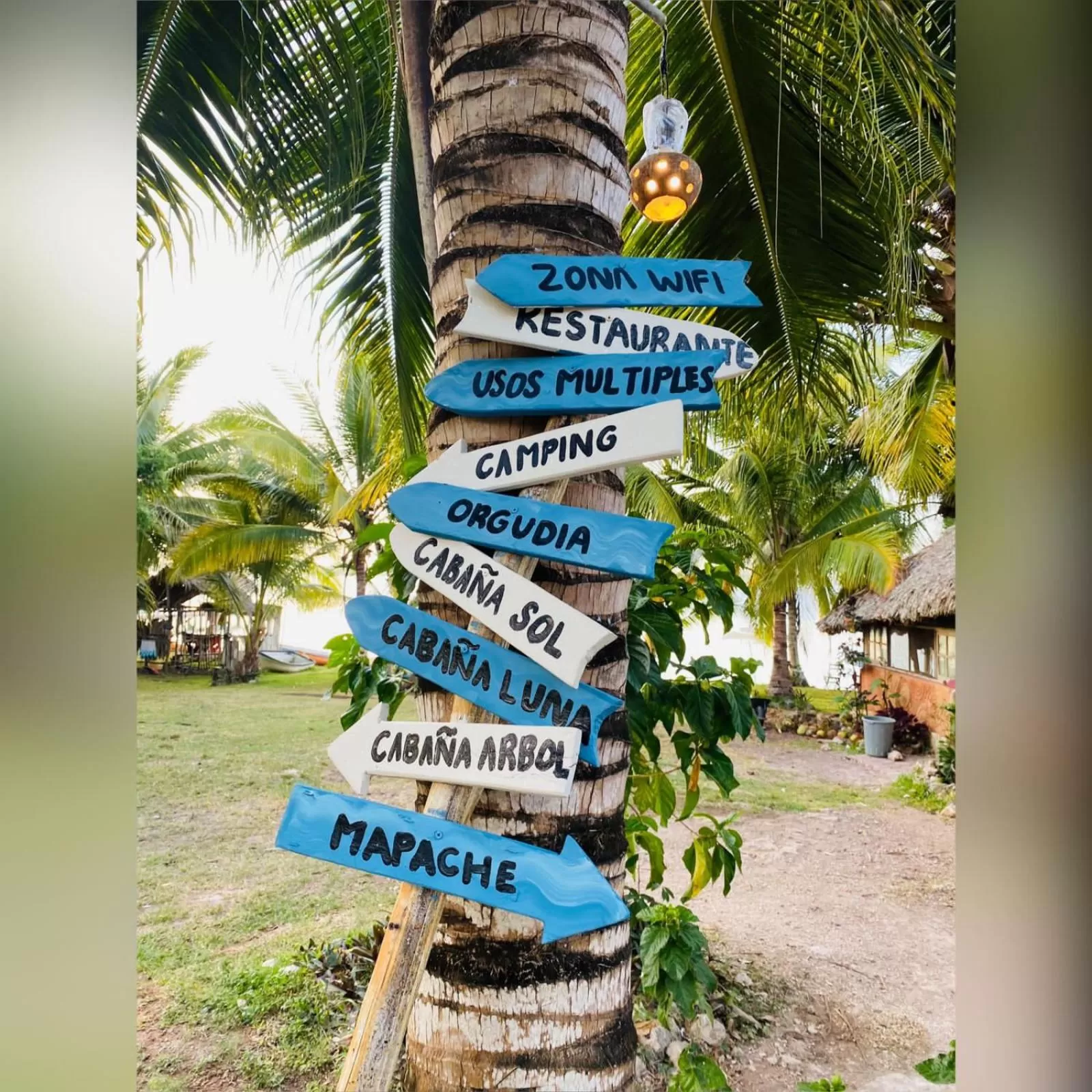 Restaurant/places to eat in Cayuco Maya