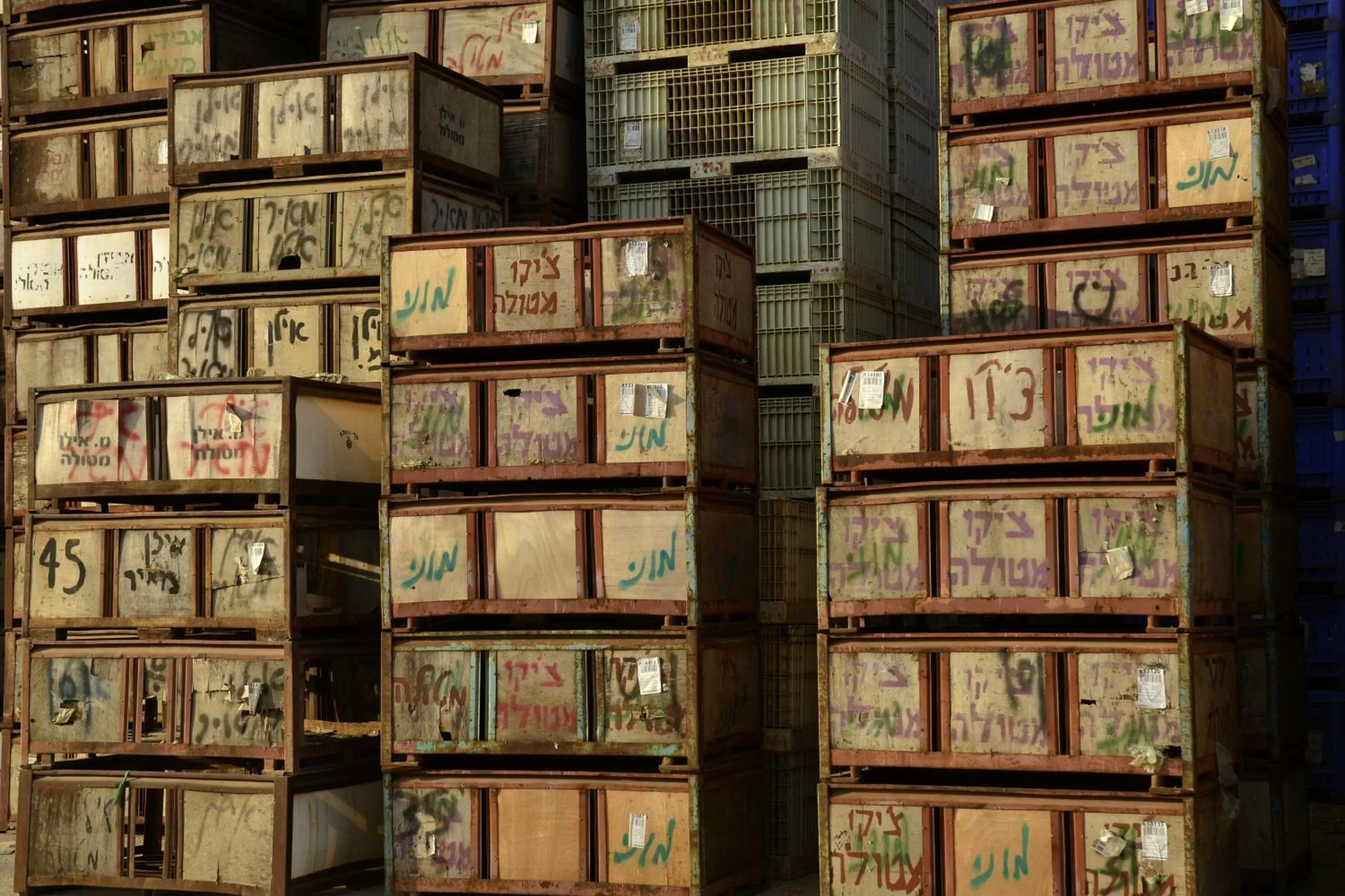 Other, Property Building in HaBaronit