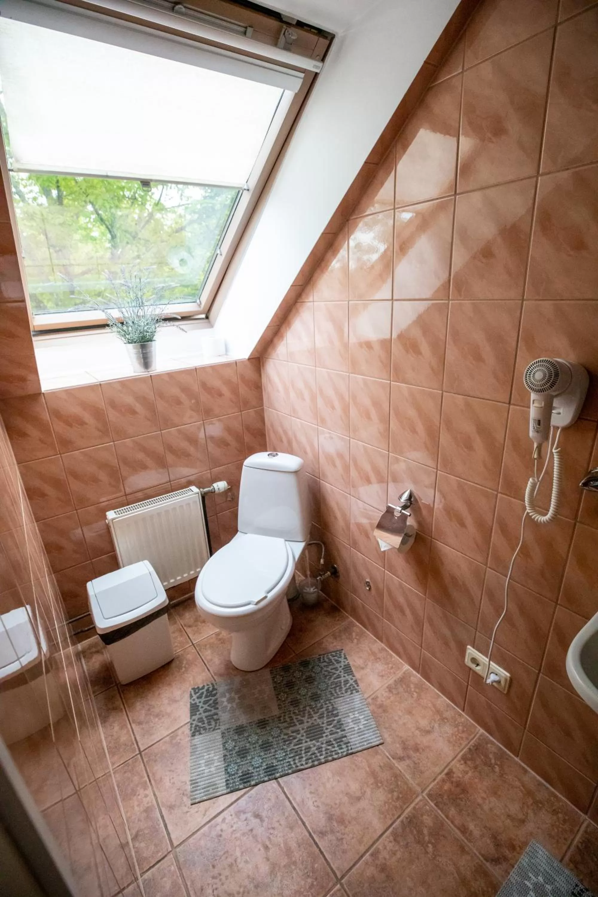 Bathroom in City Center Kaķis B&B