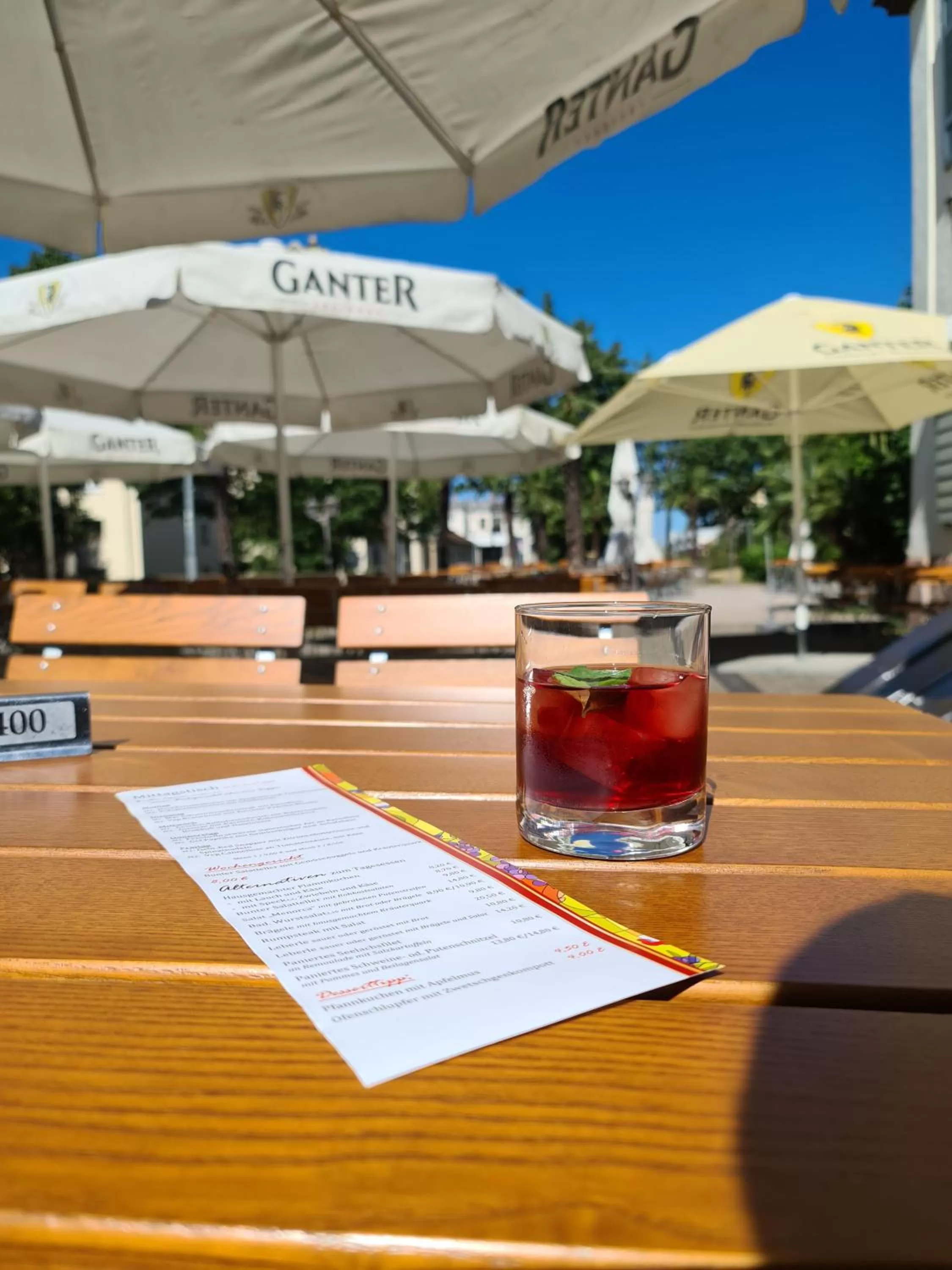 Garden in Hotel Gasthaus Schützen