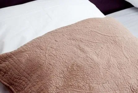 Bed in Hôtel Belle Fontainebleau