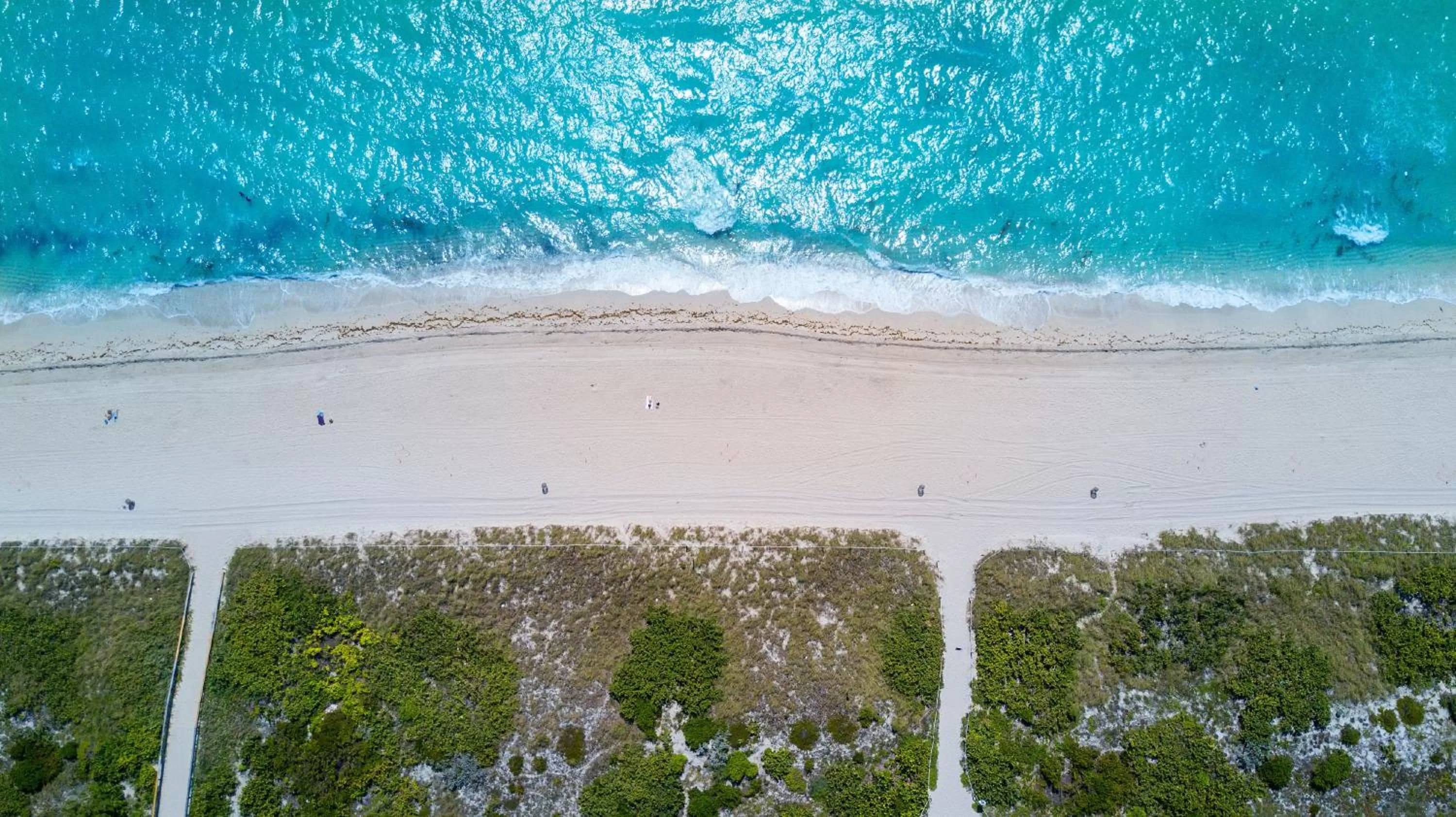 Property building, Bird's-eye View in The Donovan at Miami Beach
