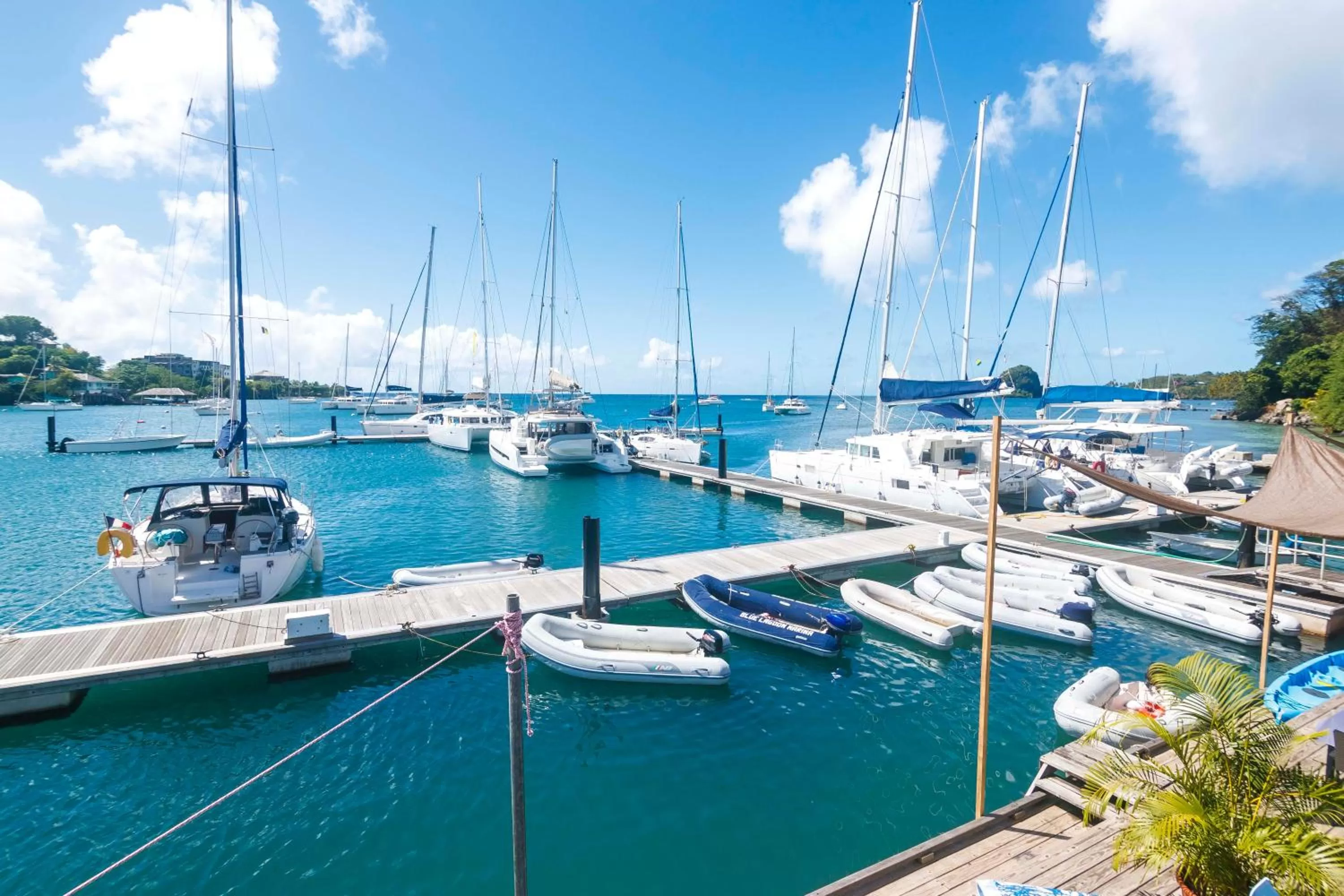 Activities in Blue Lagoon Hotel and Marina Ltd