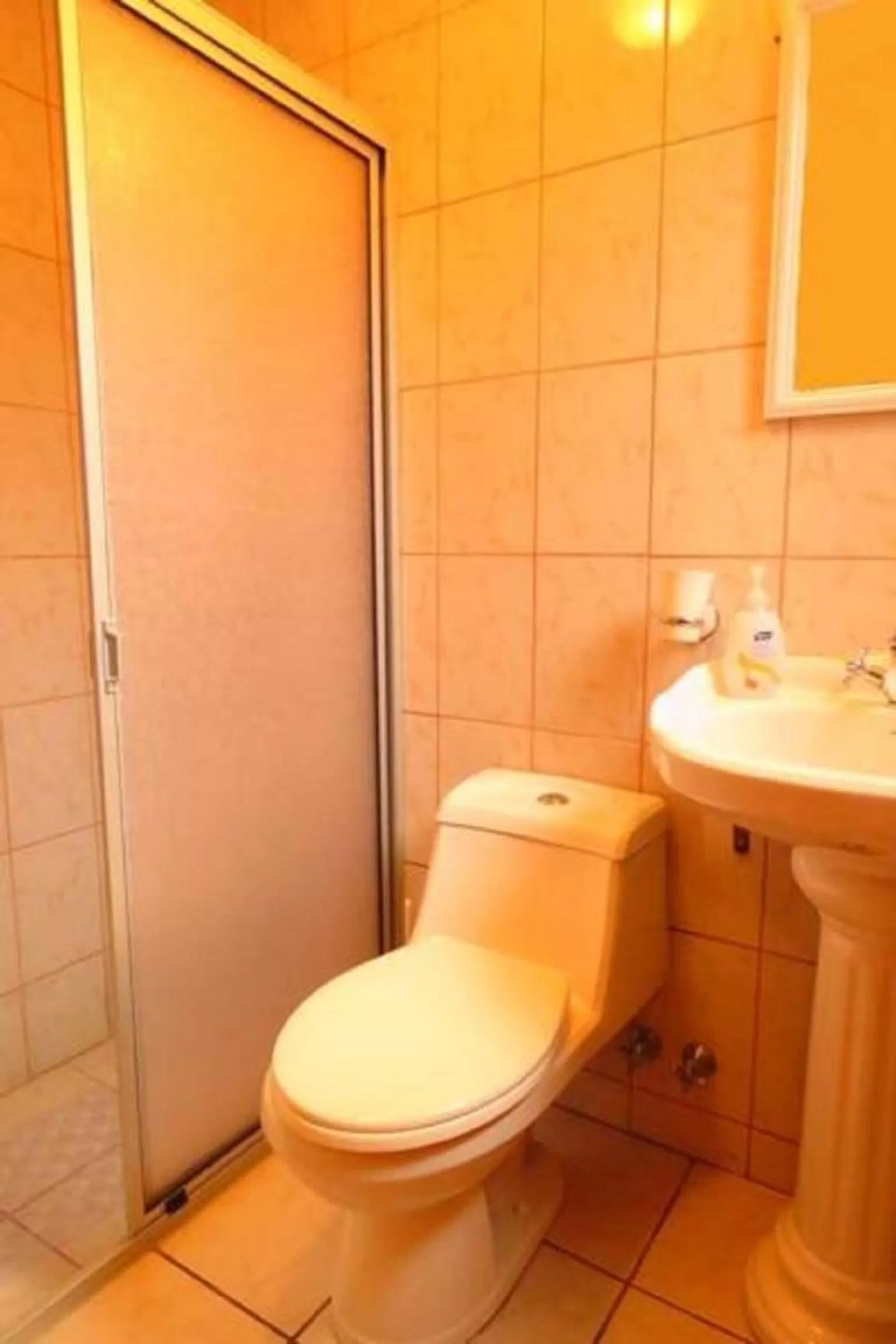 Bathroom in Apart-Hotel Colonia-Königsberg ESTACIONAMIENTO Deptos Completos Ubicado En El Centro De Valdivia AIRE ACONDICIONADO