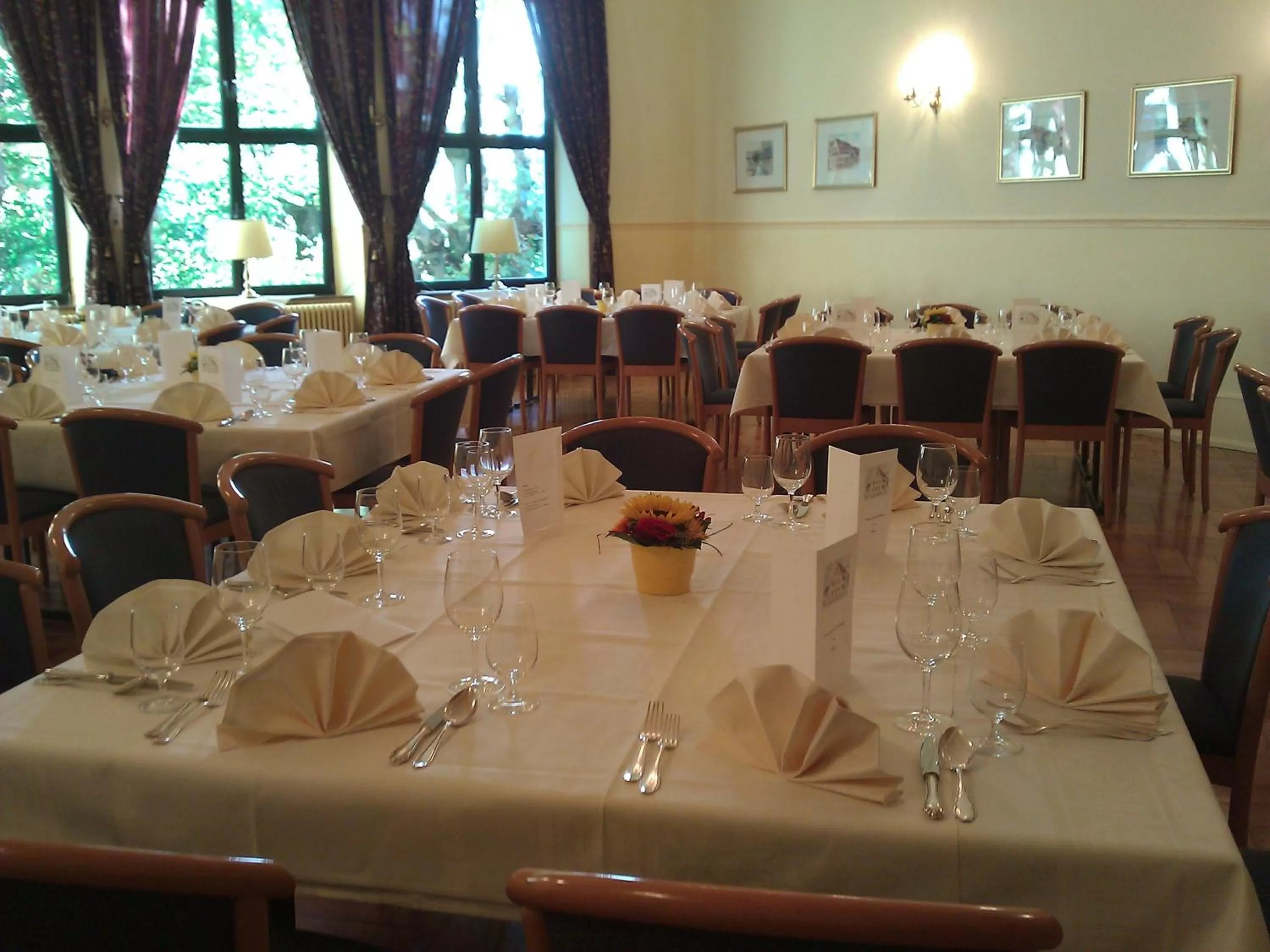 Banquet/Function facilities, Restaurant/Places to Eat in Hotel-Restaurant Schwanen