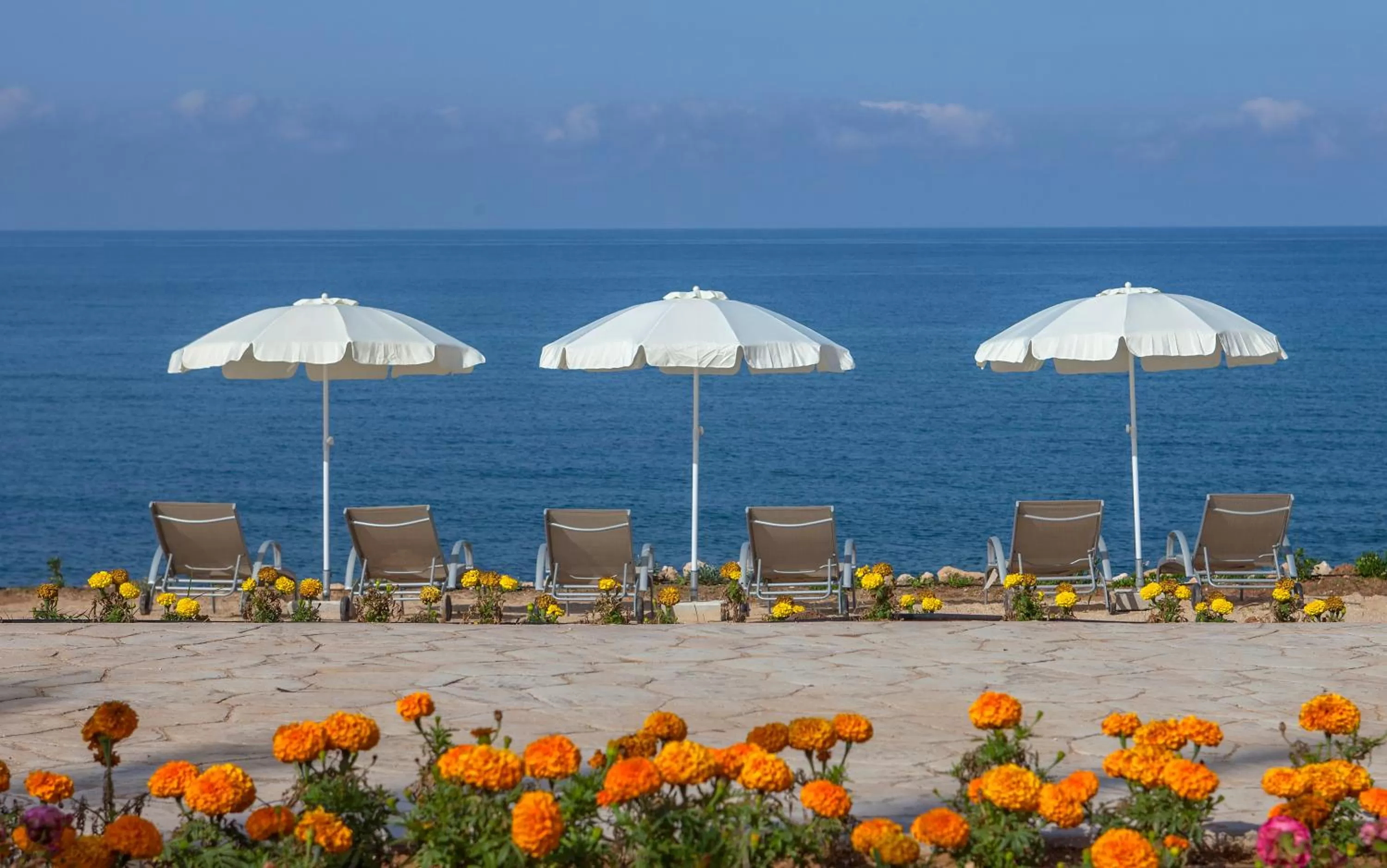 Day in King Evelthon Beach Hotel & Resort