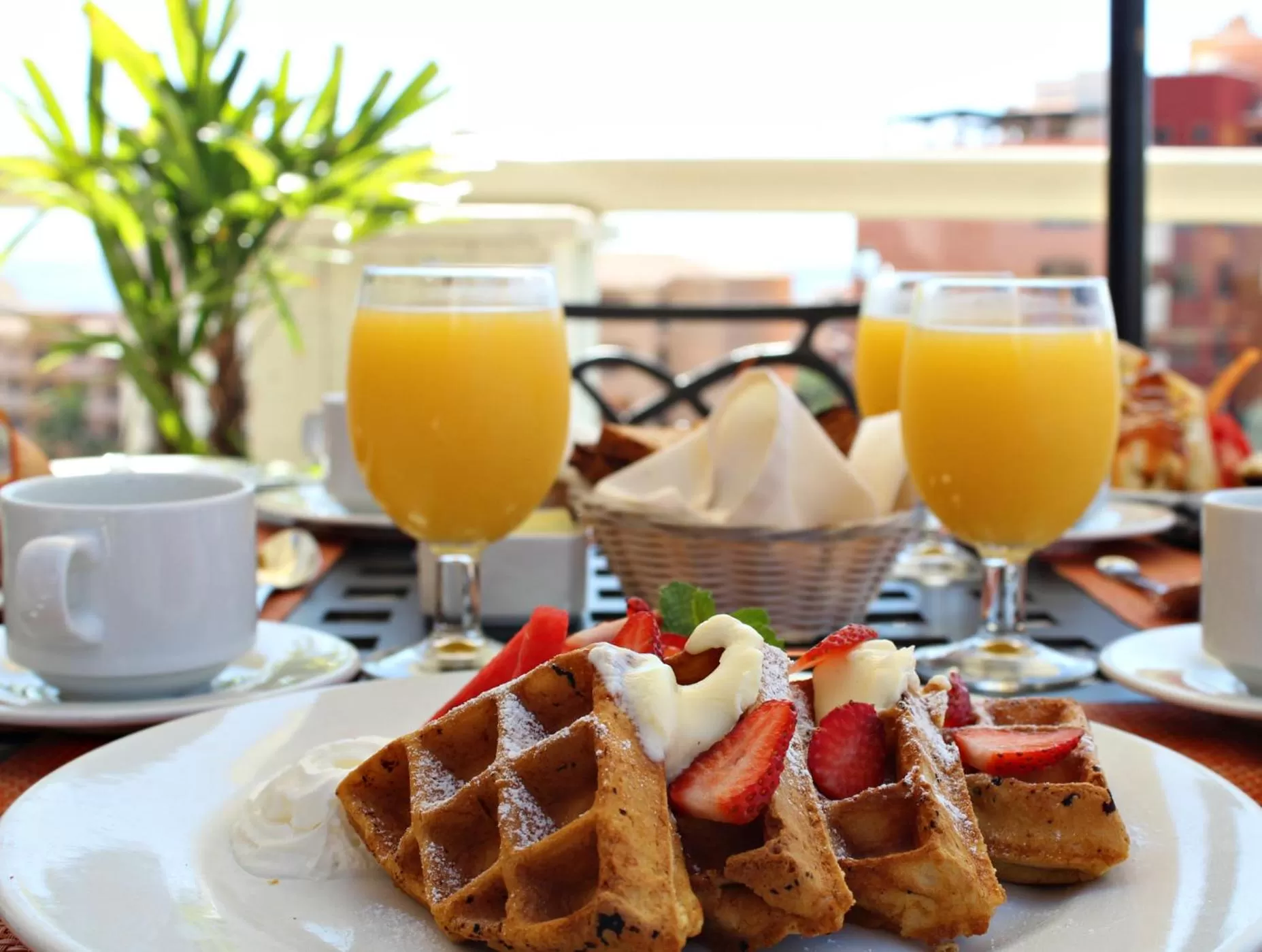 Breakfast in Playa Grande Resort