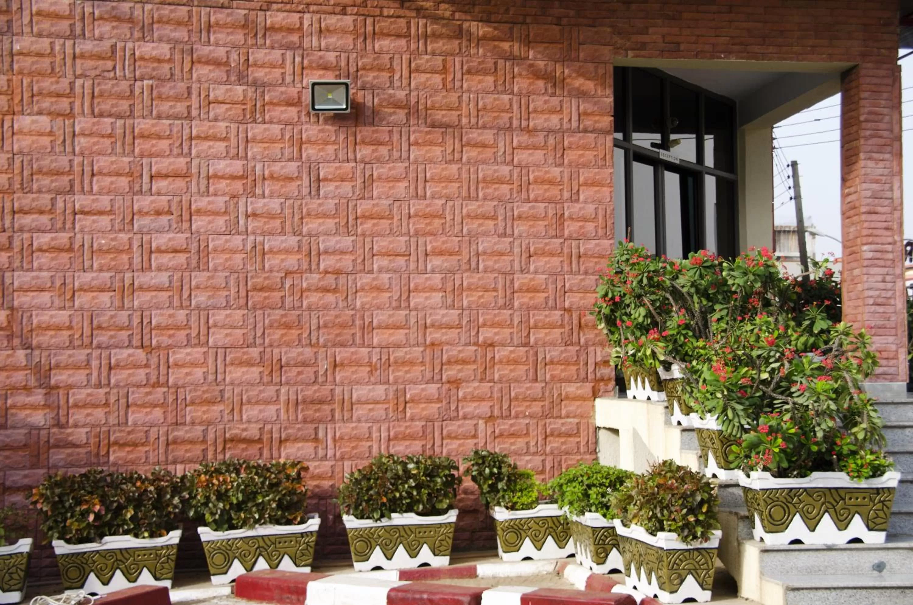 Day in Hotel Rosebud